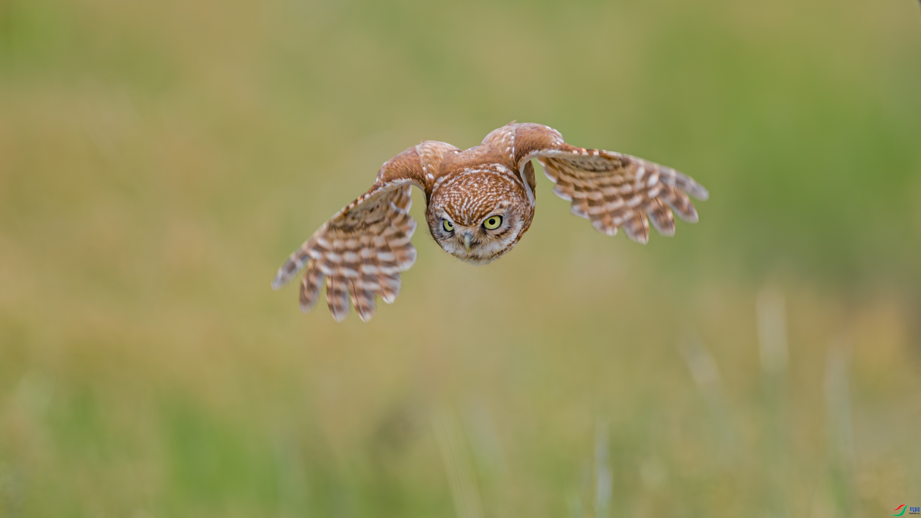 Ư����Сè  ���� �䱾���� �ܶ�.jpg