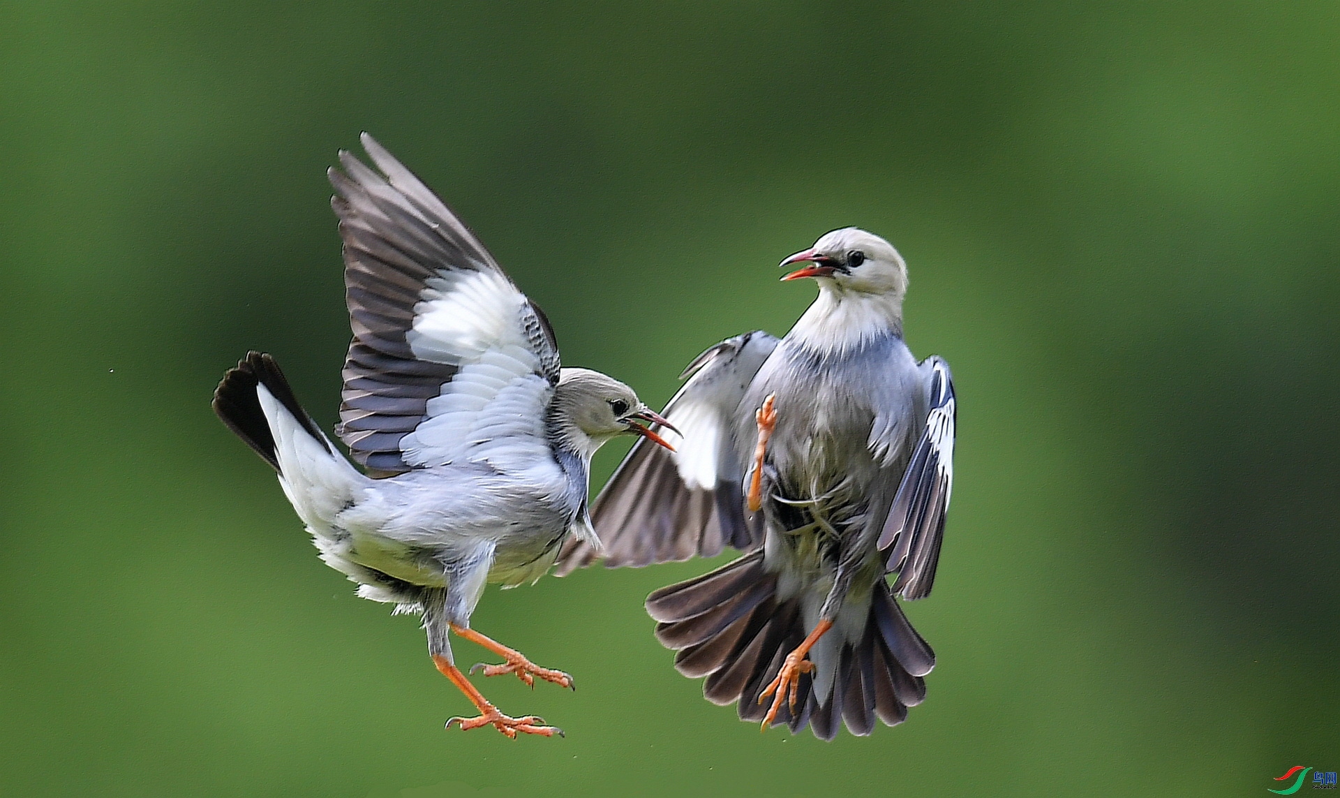 ����  ���� ����뻳  �ܶ�.jpg