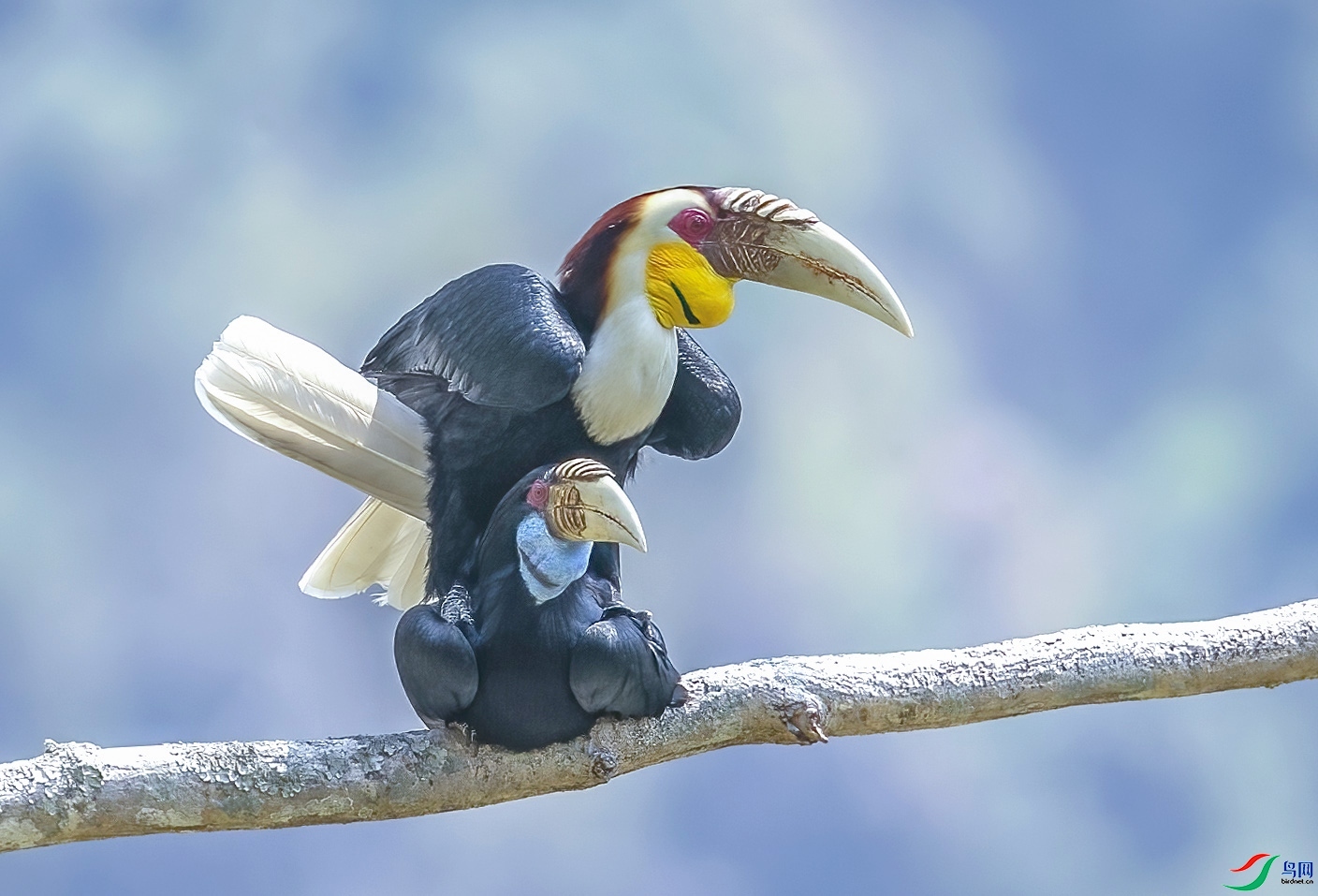 ������Ϣ ���� 0529  ����.jpg