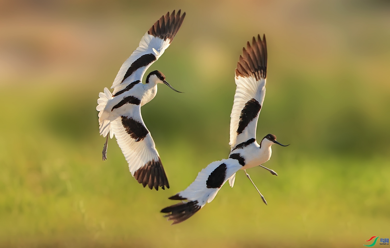 ��������ݵ�����  ���� ��Ұ ����.jpg