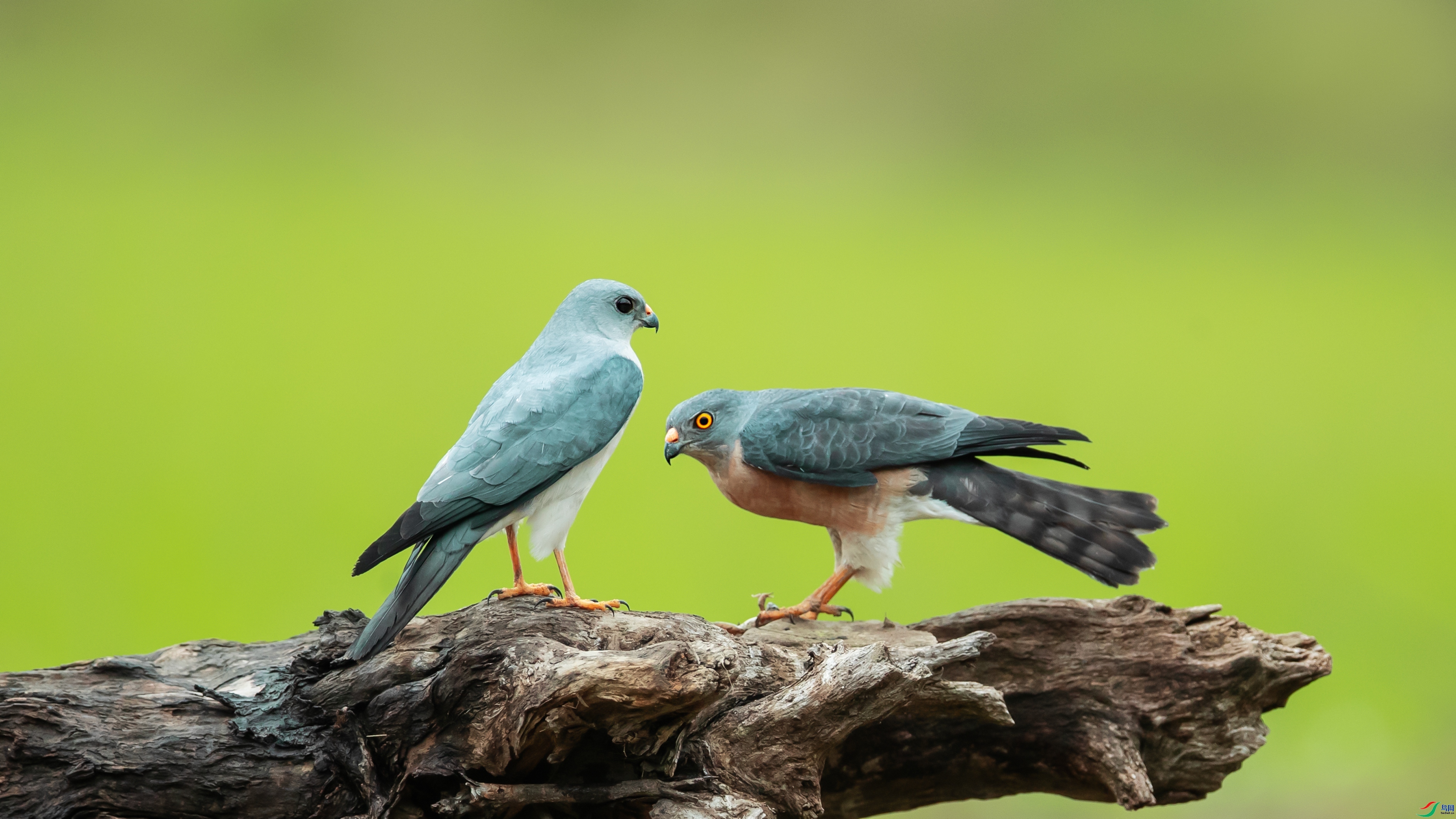 ����һ��  ���� С���� ����.jpg