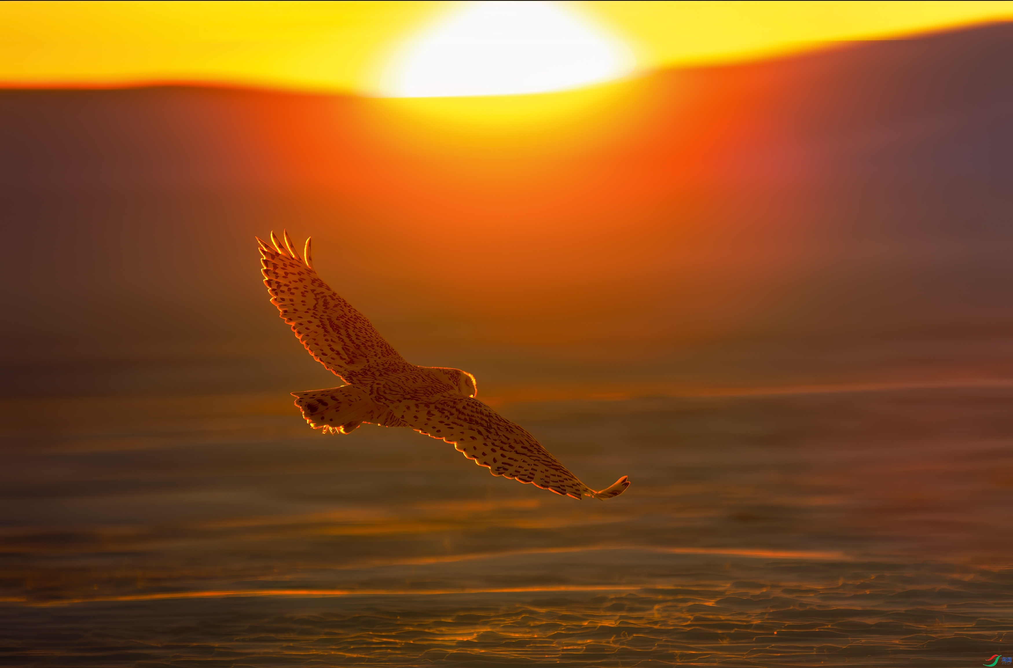 ѩ�^ ���� 춼ͷ� ����.jpg