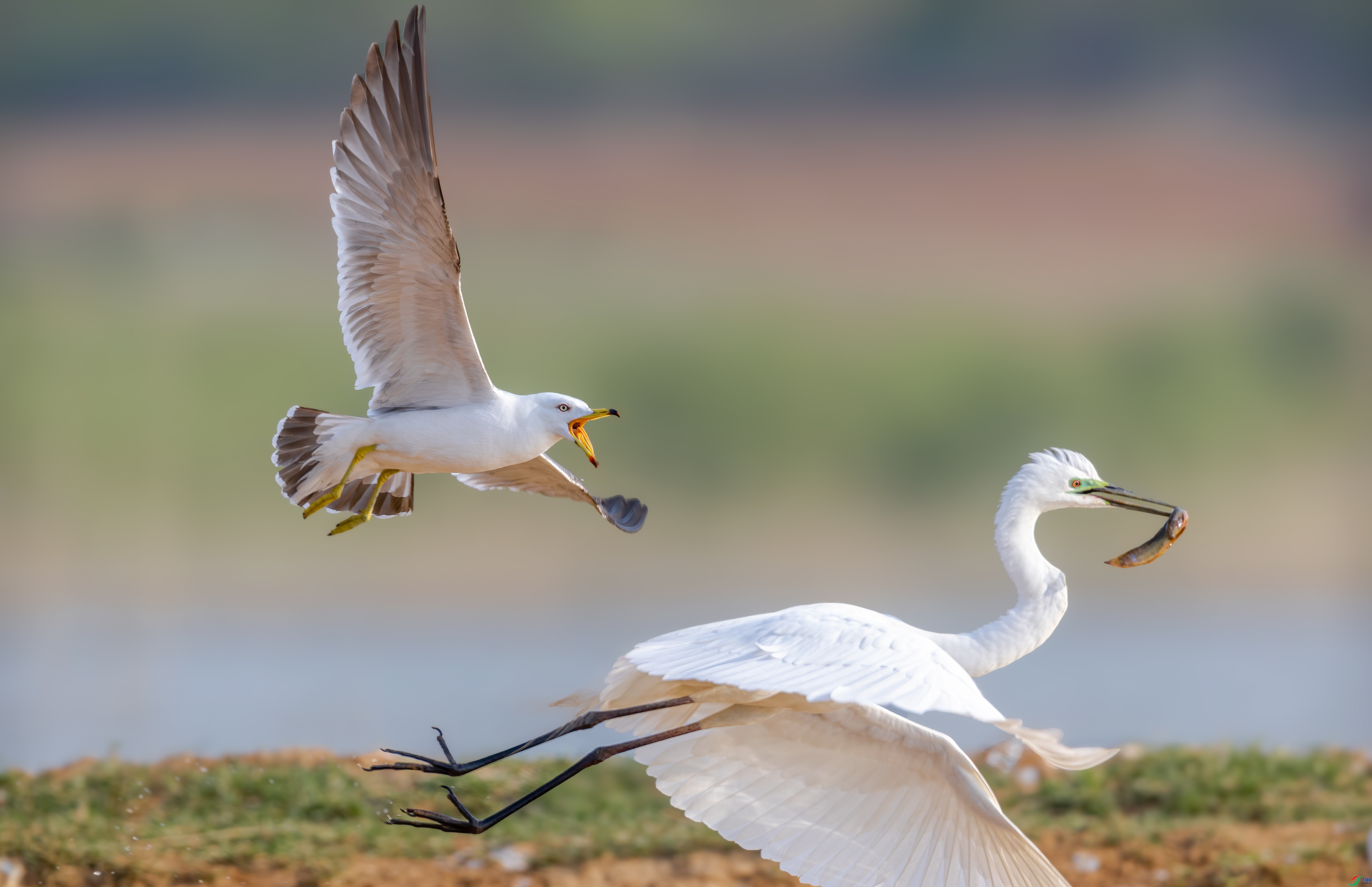 ��������  ���� �䱾���� ����.jpg