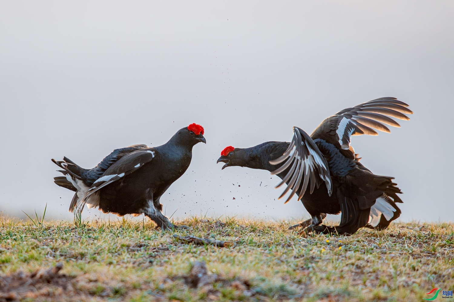 ����  ���� 0529����  ����.jpg