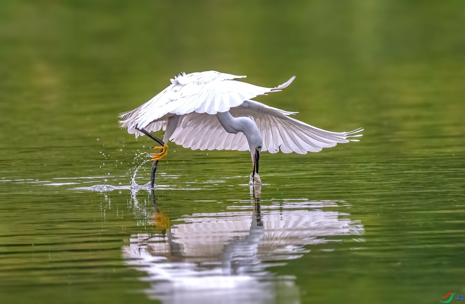 ץ�� ���� ������  ����.jpg