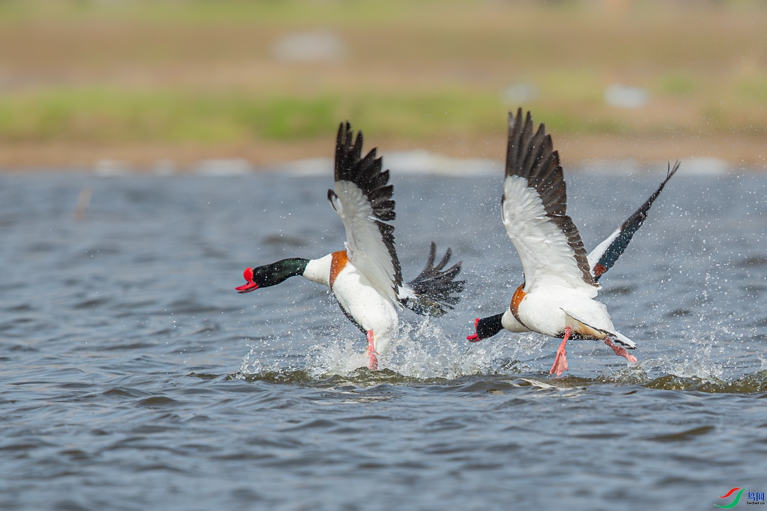 ��׷���� ���� 0459 ����  ����.jpg