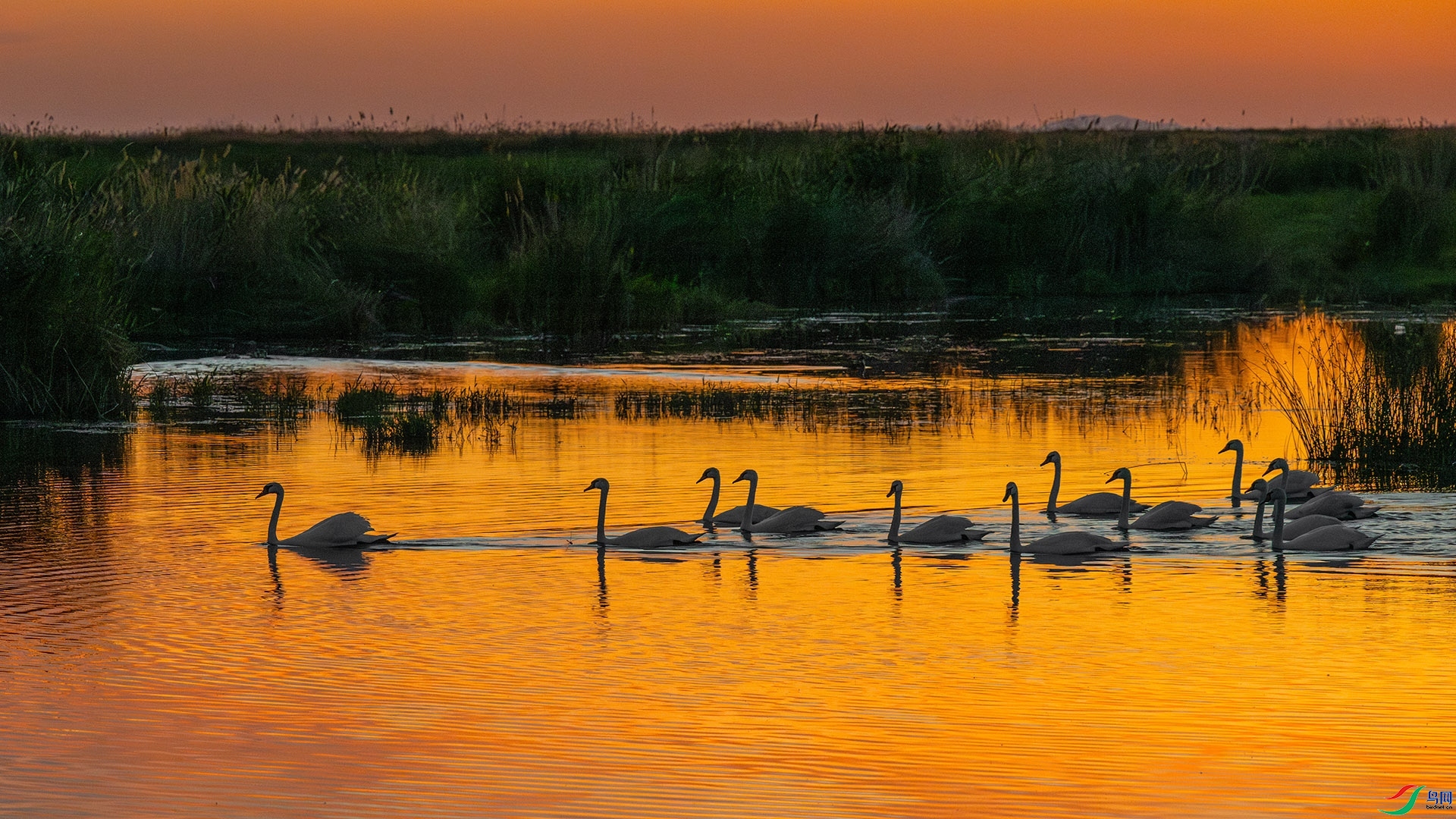 �����غ�����ϼ ���� ��ѧ�� ����.jpg