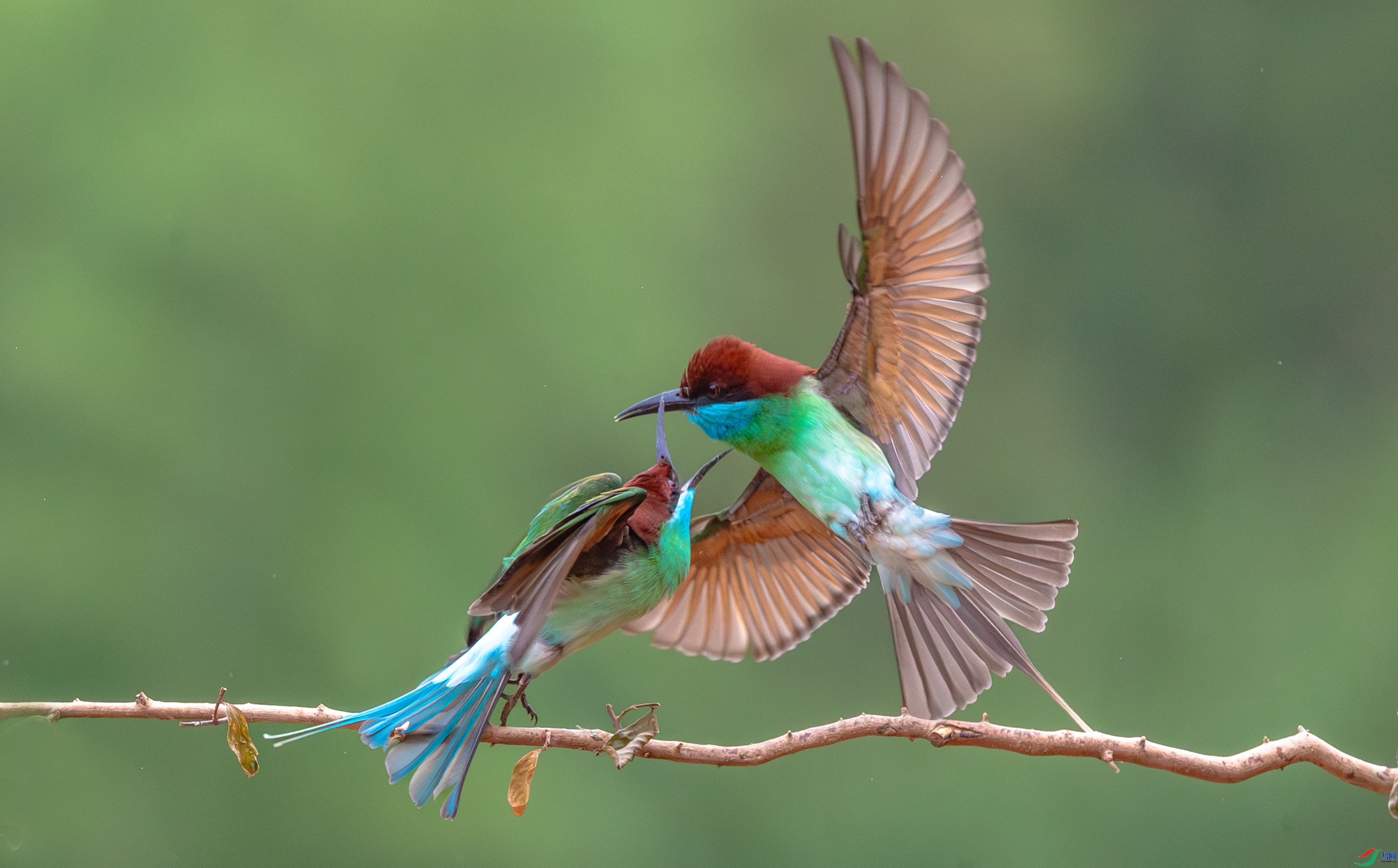 �������� ���� ����  ����.jpg