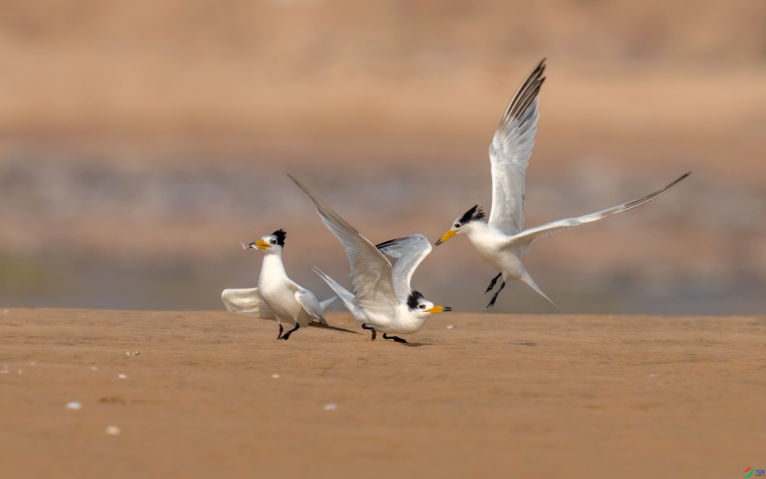 ���� ���� ���� ����.jpg