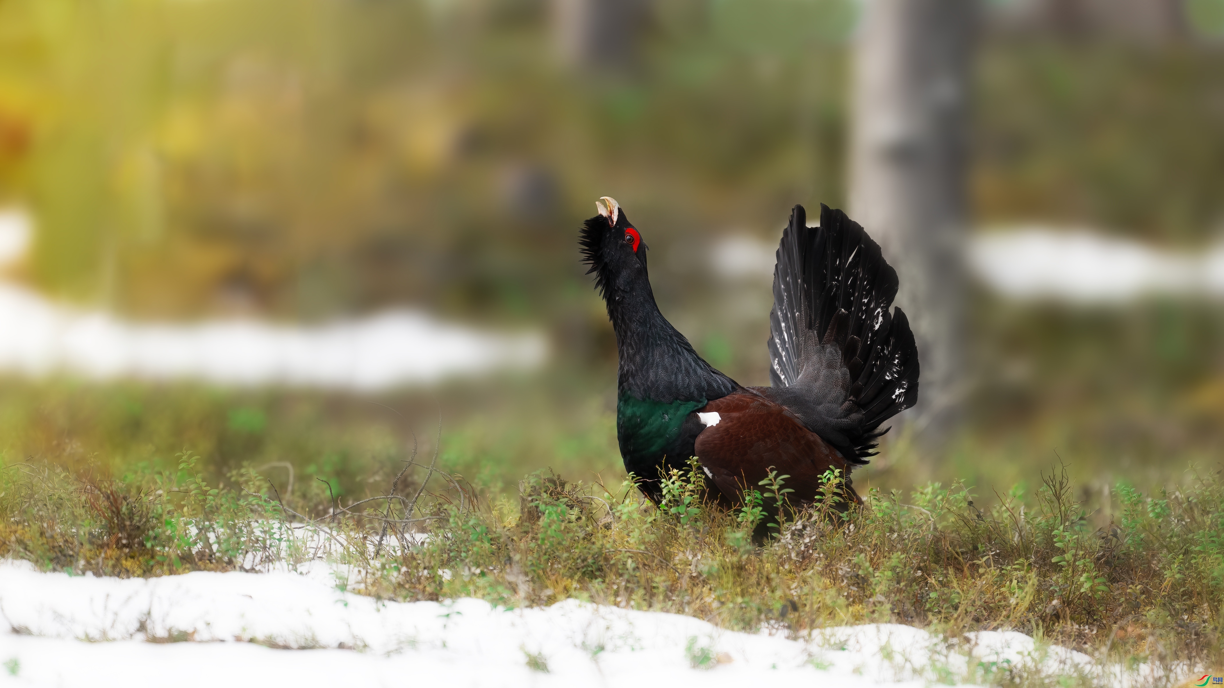 ���ĺ��� ���� С���� ����.jpg