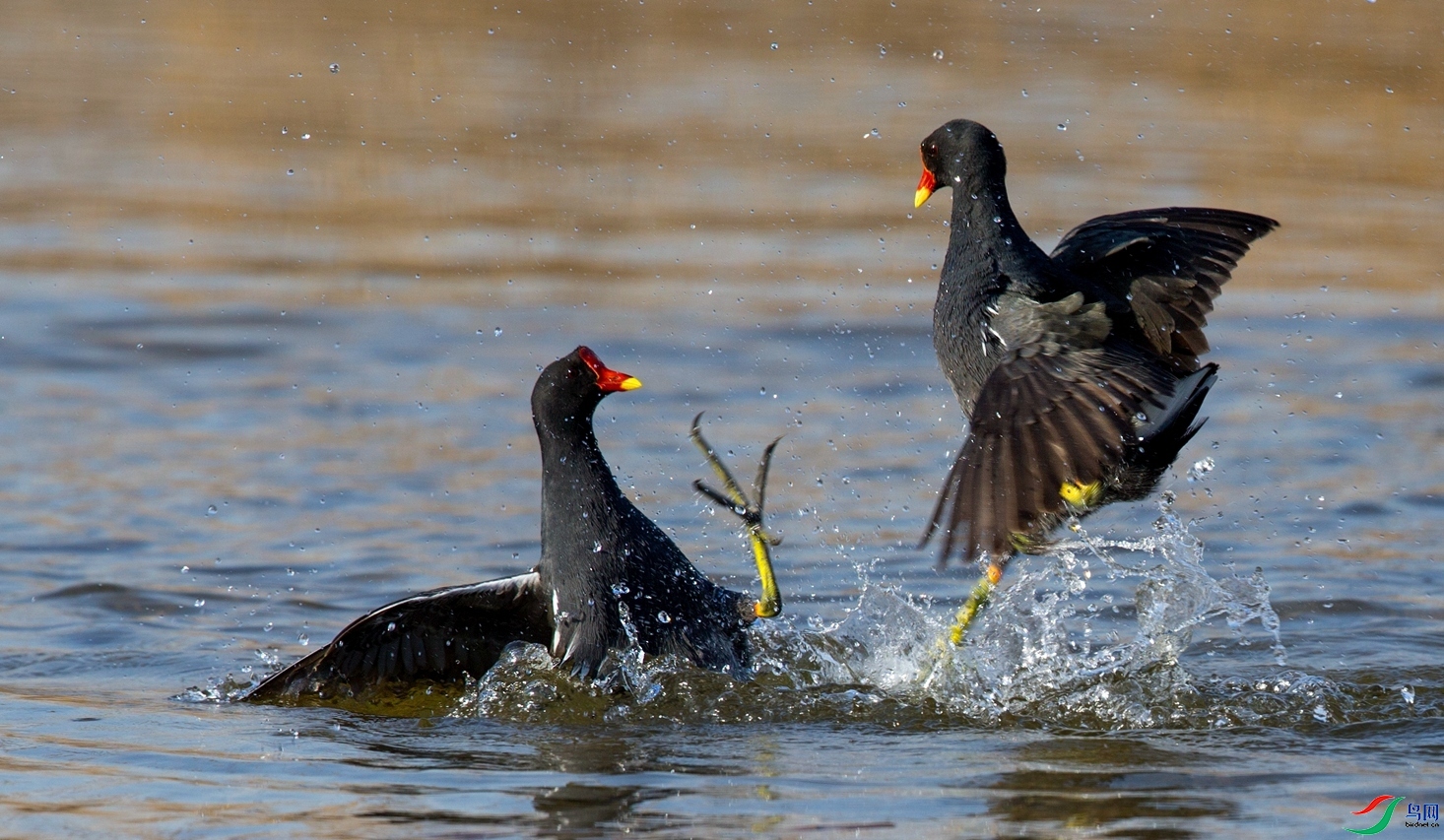 ��ˮ�� ���� ��Х ����.jpg