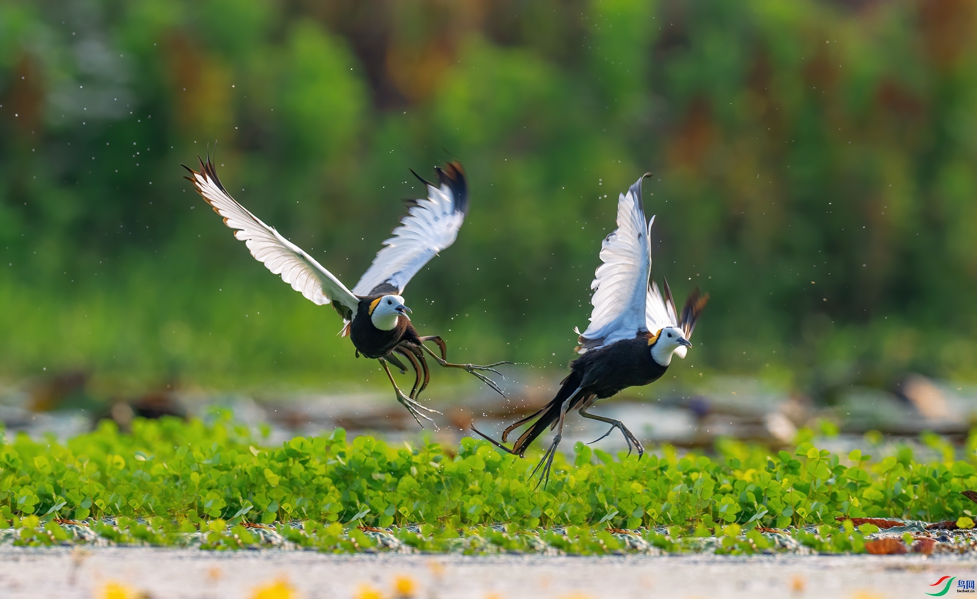 ׷�� ���� �������� ����.jpg