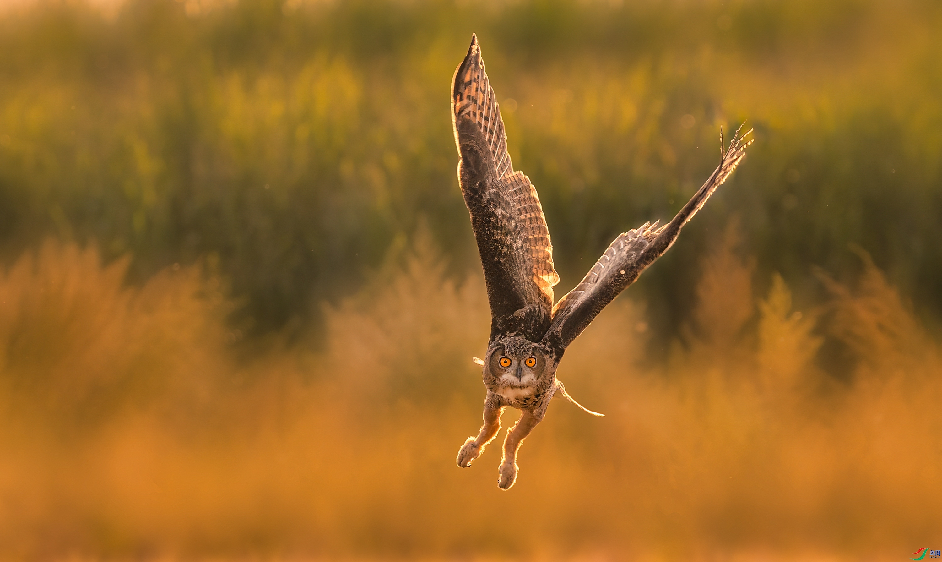 ������  ���� С�׺� ����.jpg