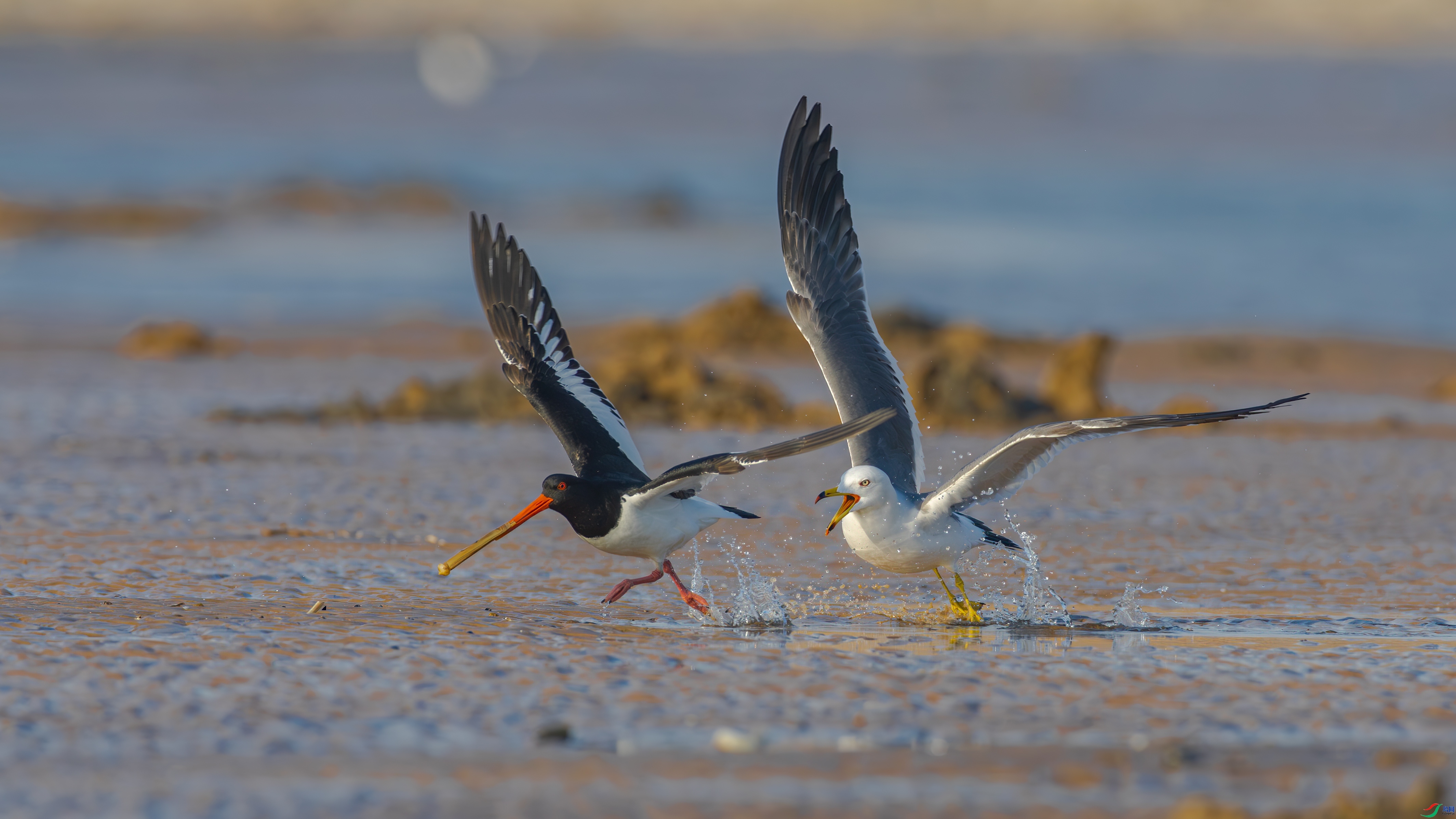 ���  ���� �䱾���� ����.jpg