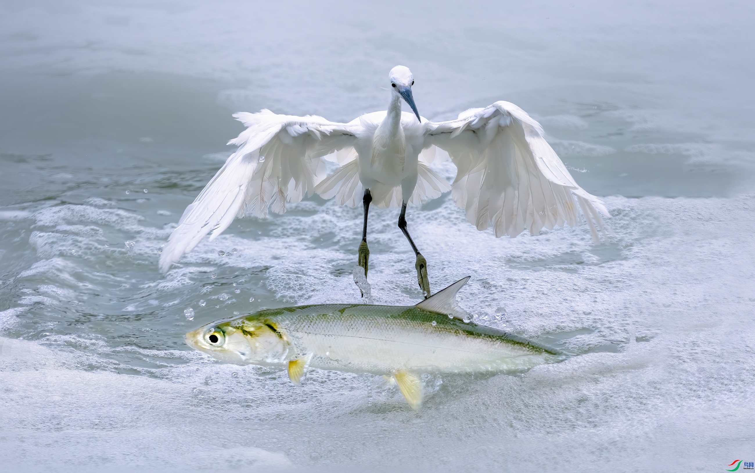 ��  �ô��һ����  ���� 춼ͷ� ����.jpg