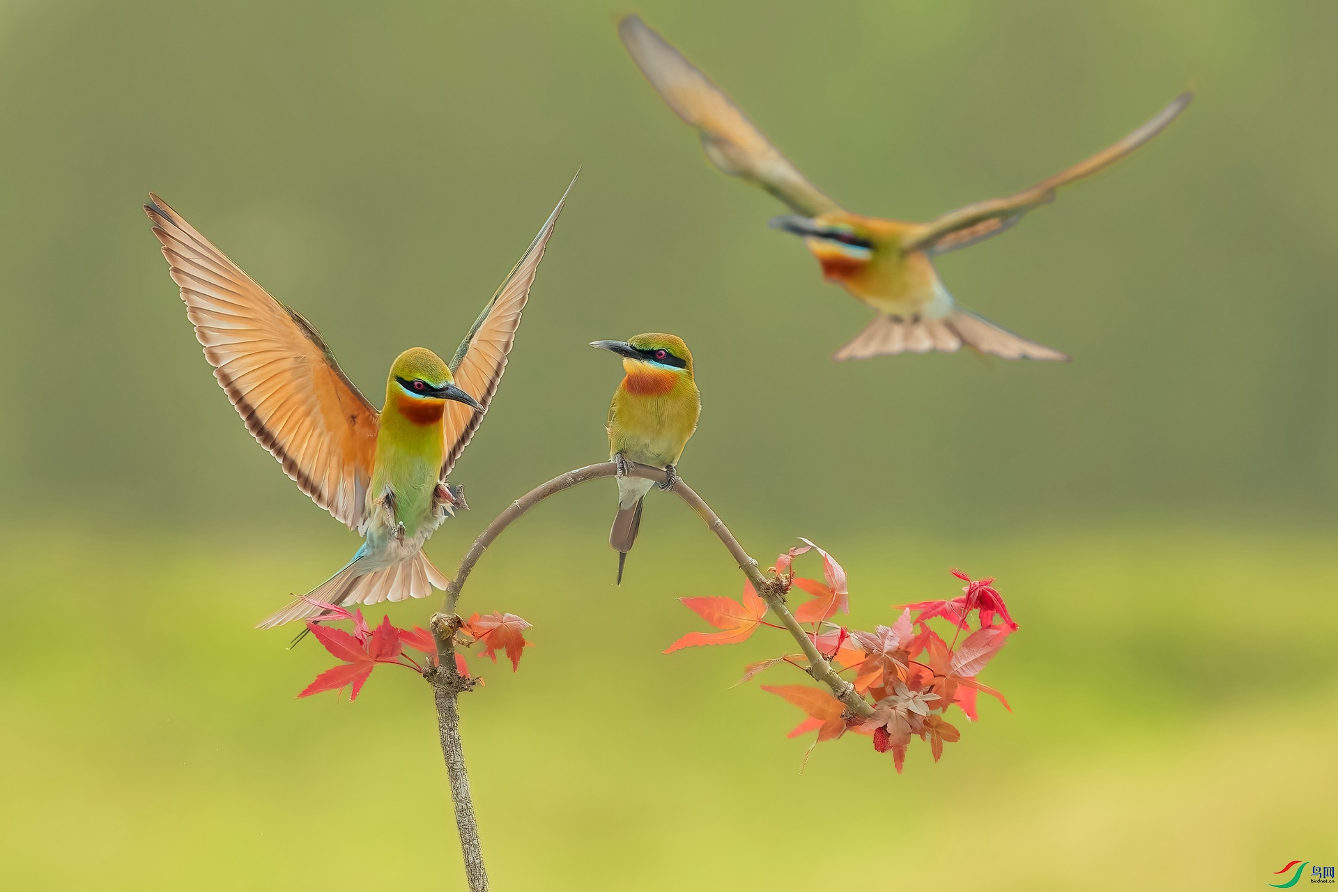 B86I4787 _����.jpg