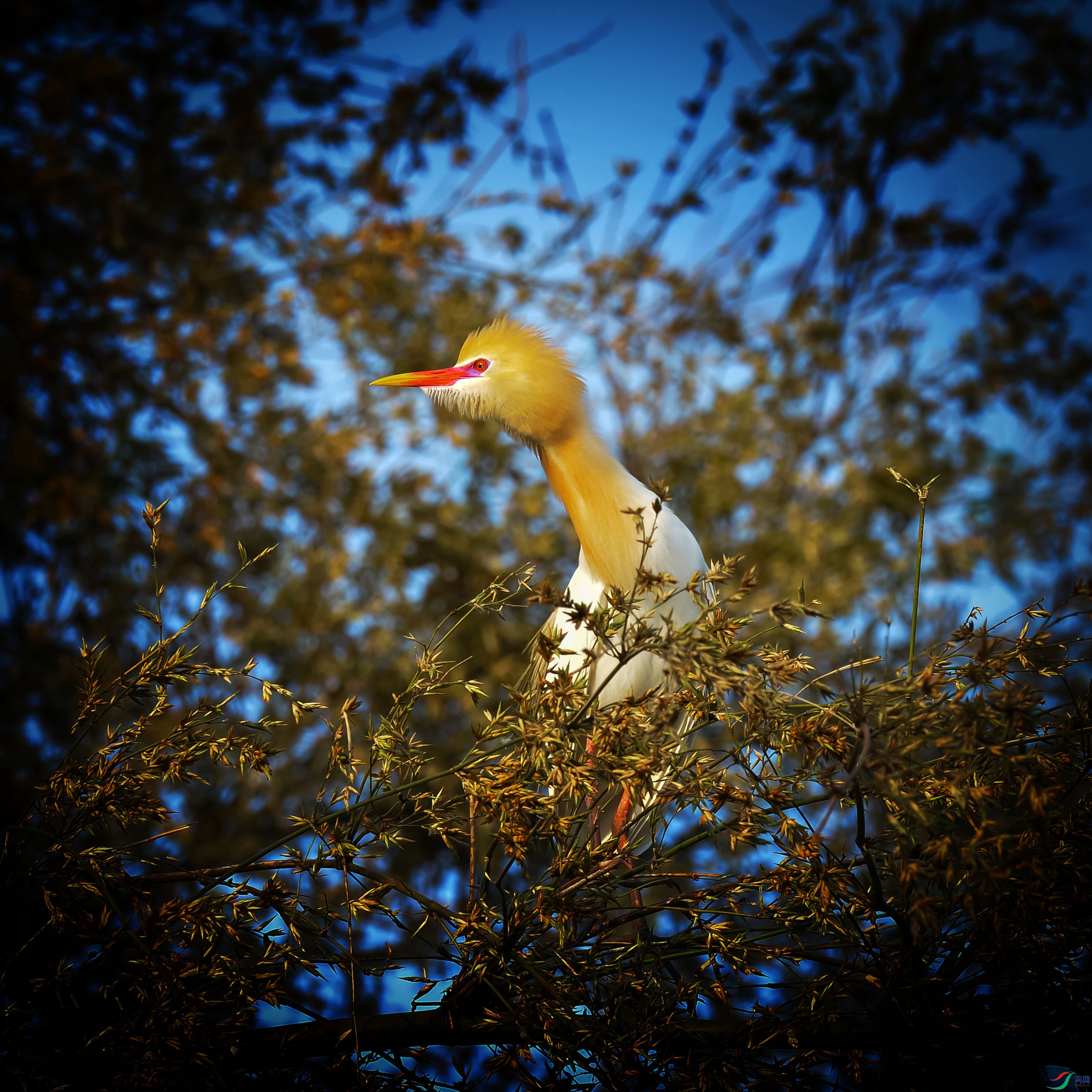 DSC_1643.jpg