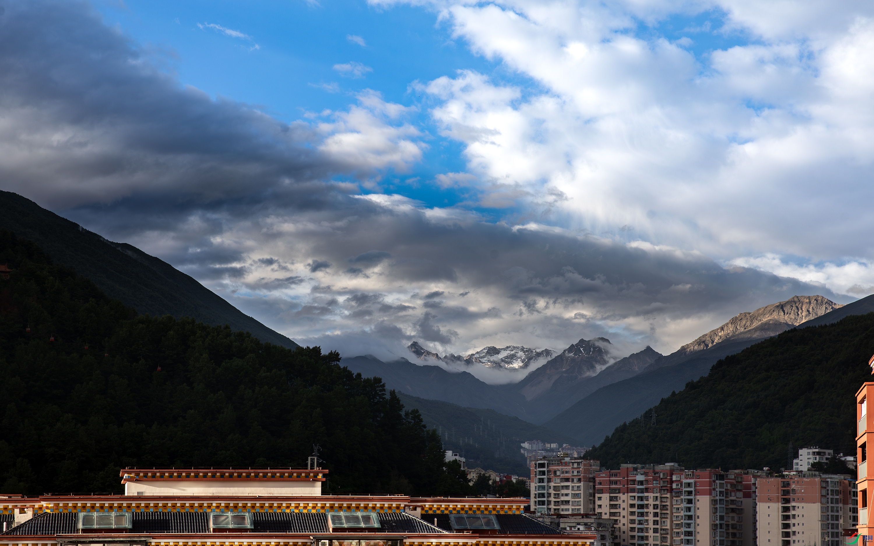 3S5A1492- ����.jpg