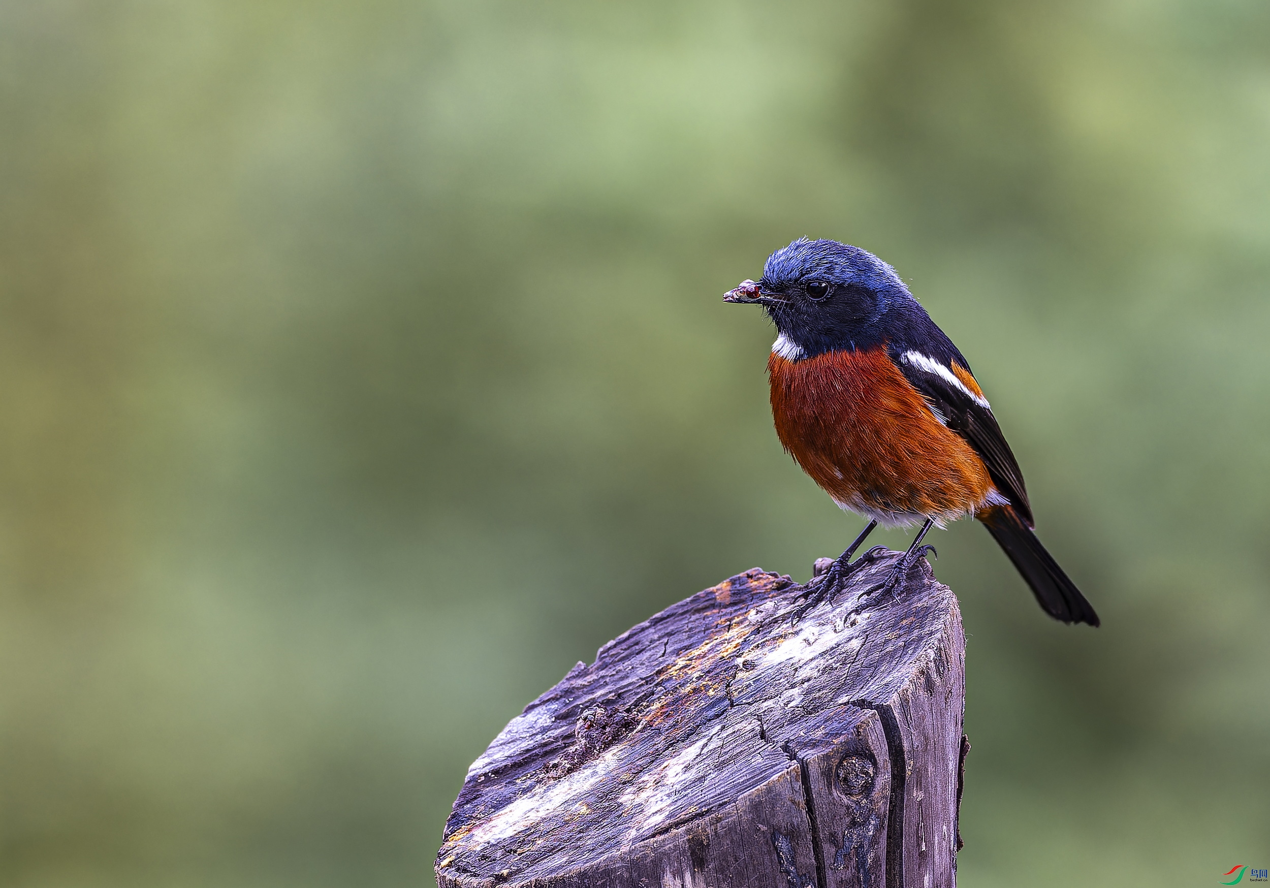 �׺���β� (21)-1.jpg