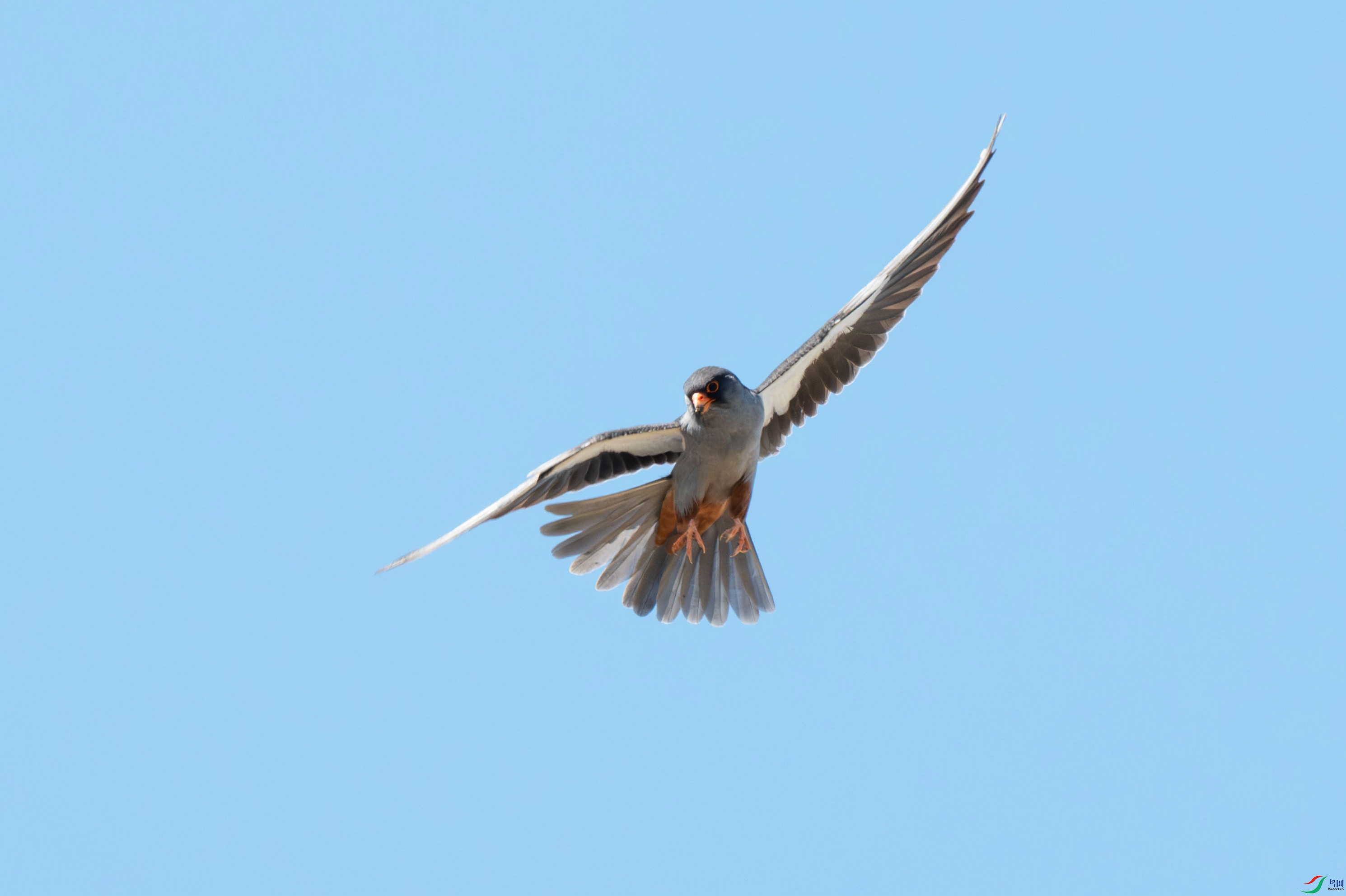 DSC_1423.jpg