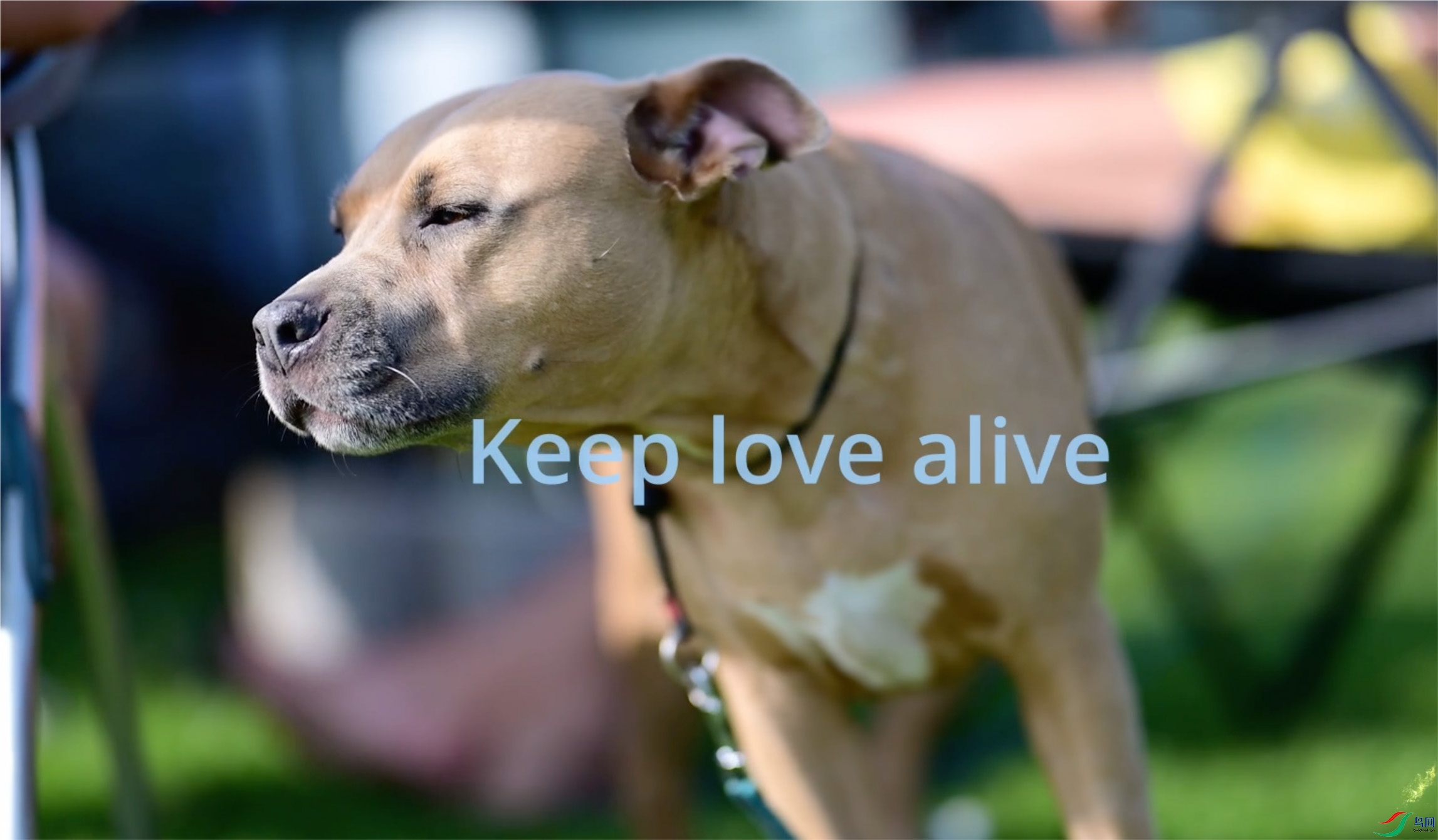 �ð����棡