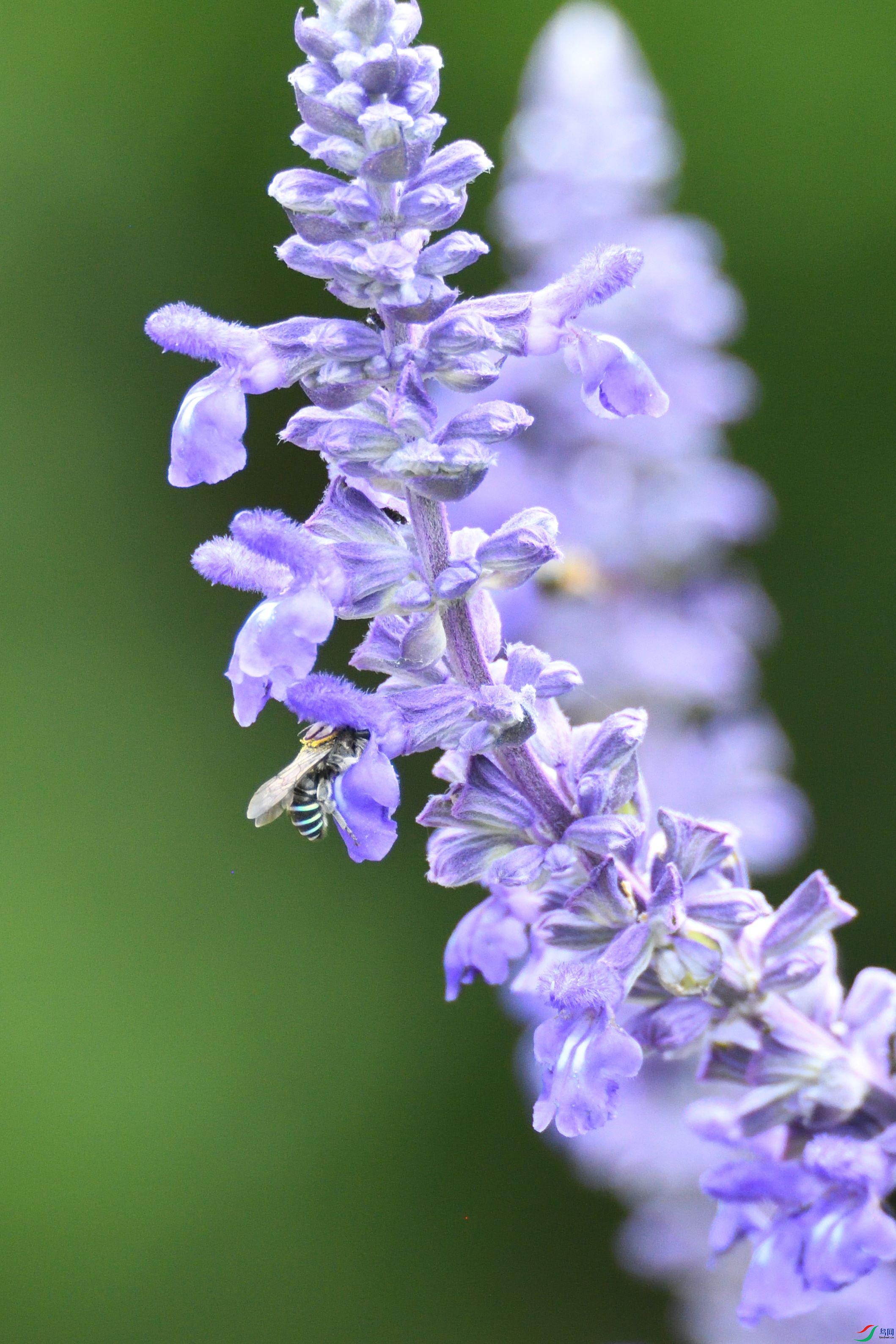 DSC_5609_00002.jpg