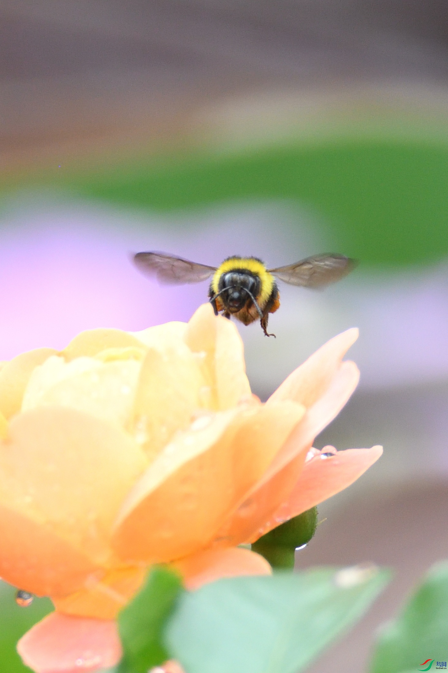 DSC_5649_00002.jpg