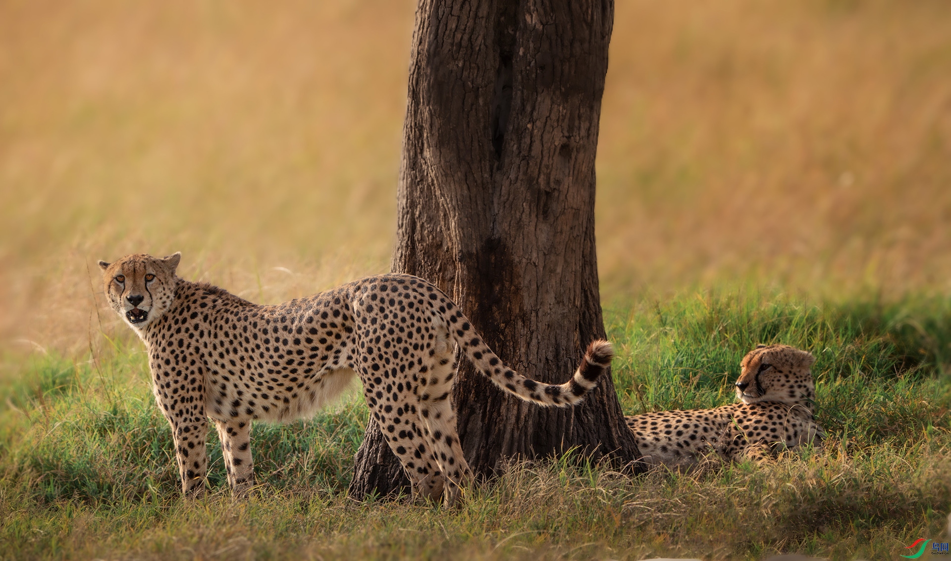 _DSC6402-����ǿ-NR ����.jpg