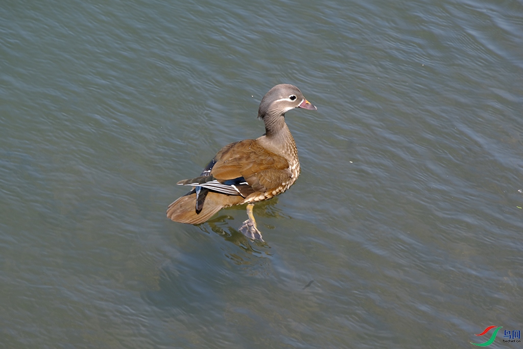 DSCF2317.JPG