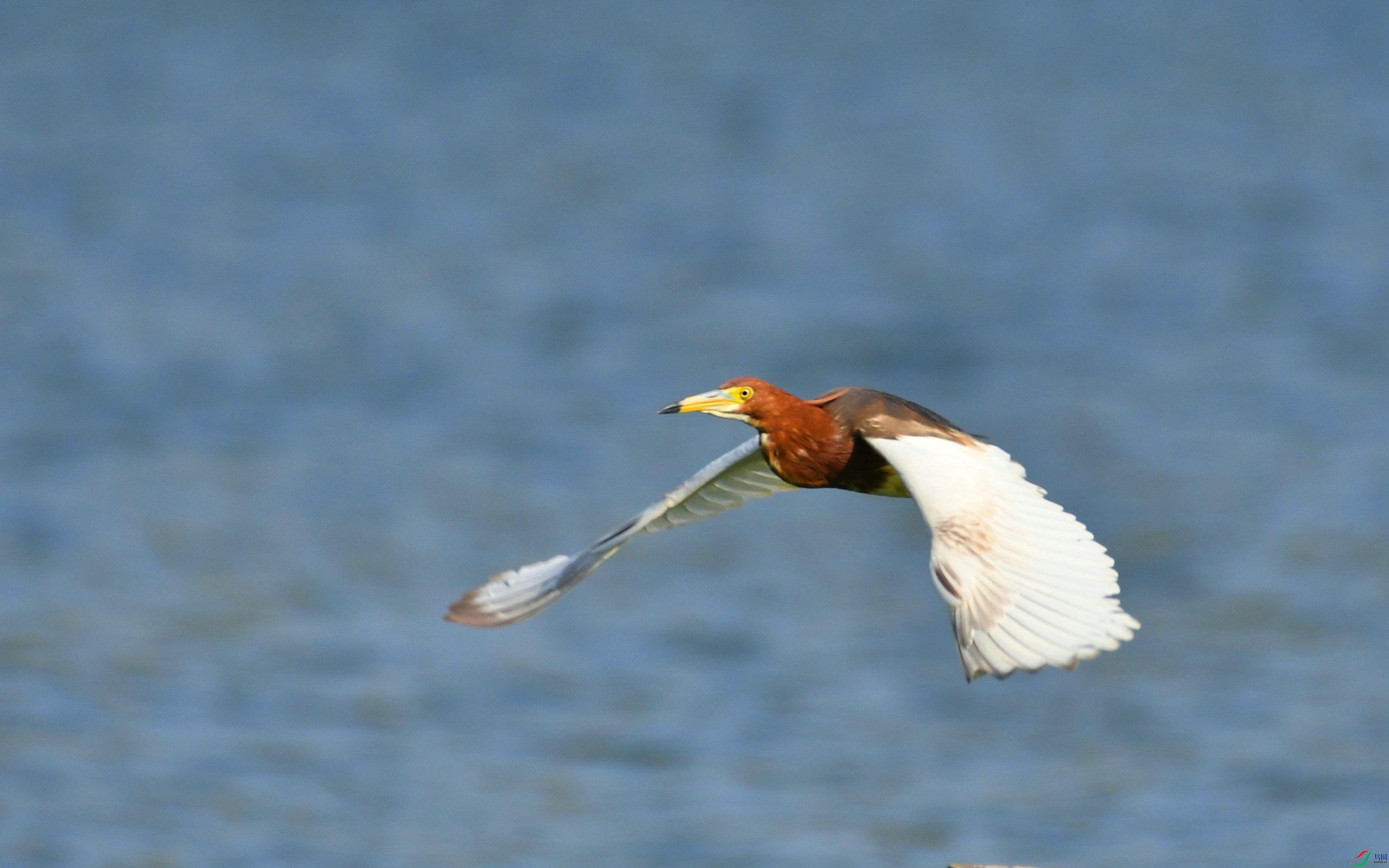 DSC_4782.JPG