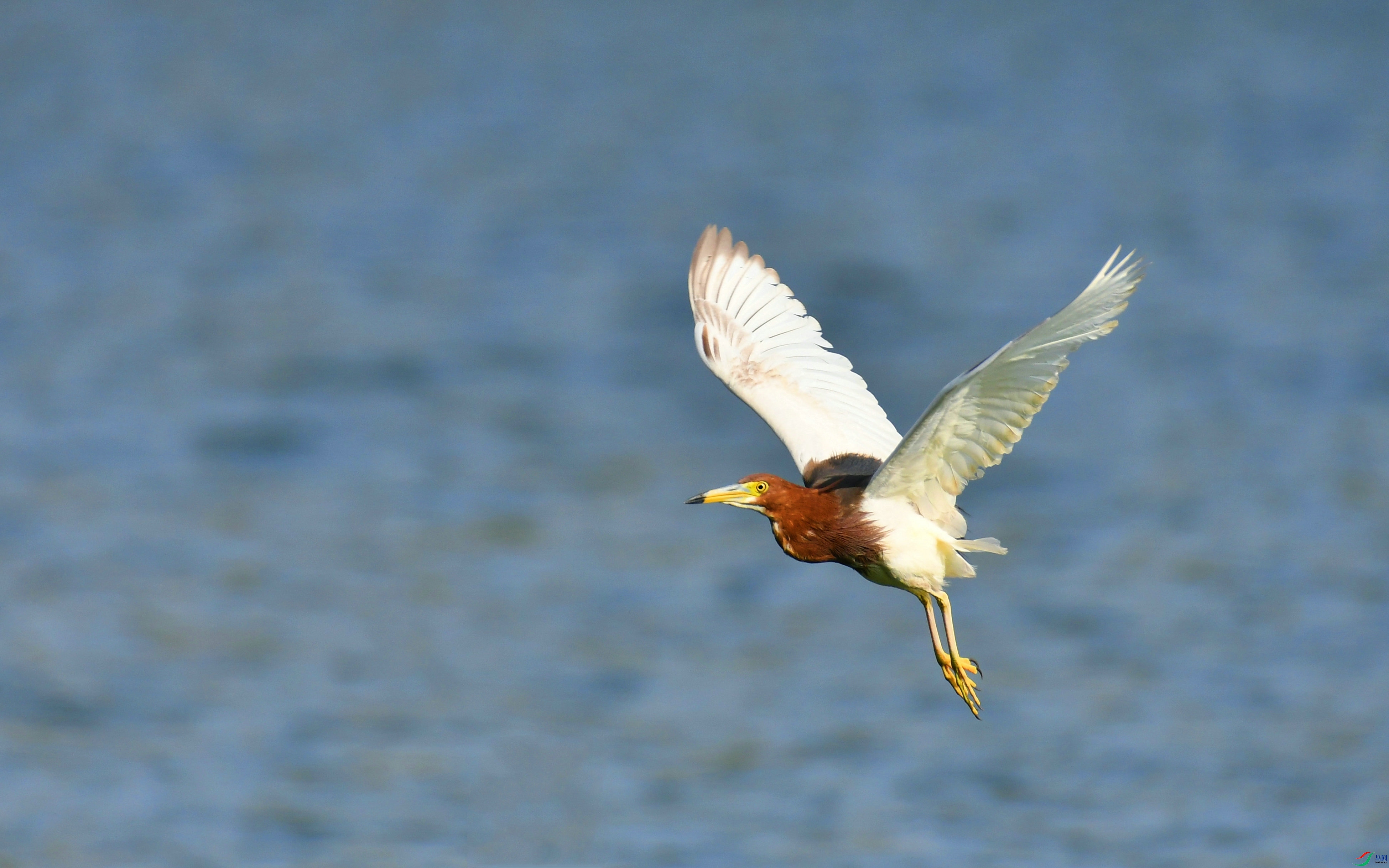 DSC_4785.JPG