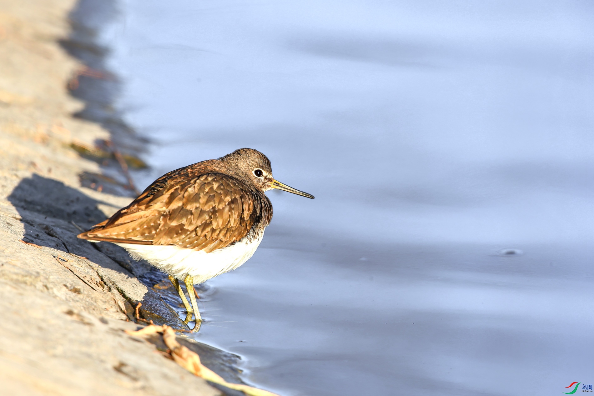 AQ4P2485-1.jpg