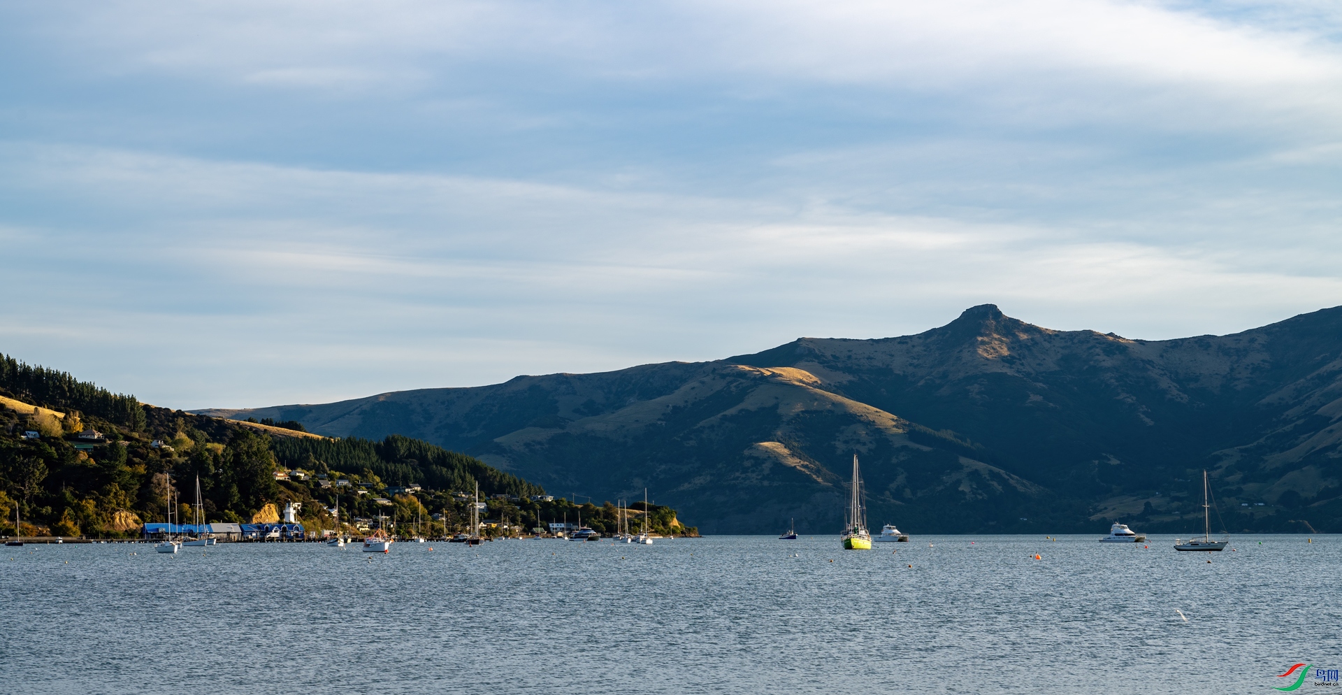 DSC_8634-1.jpg