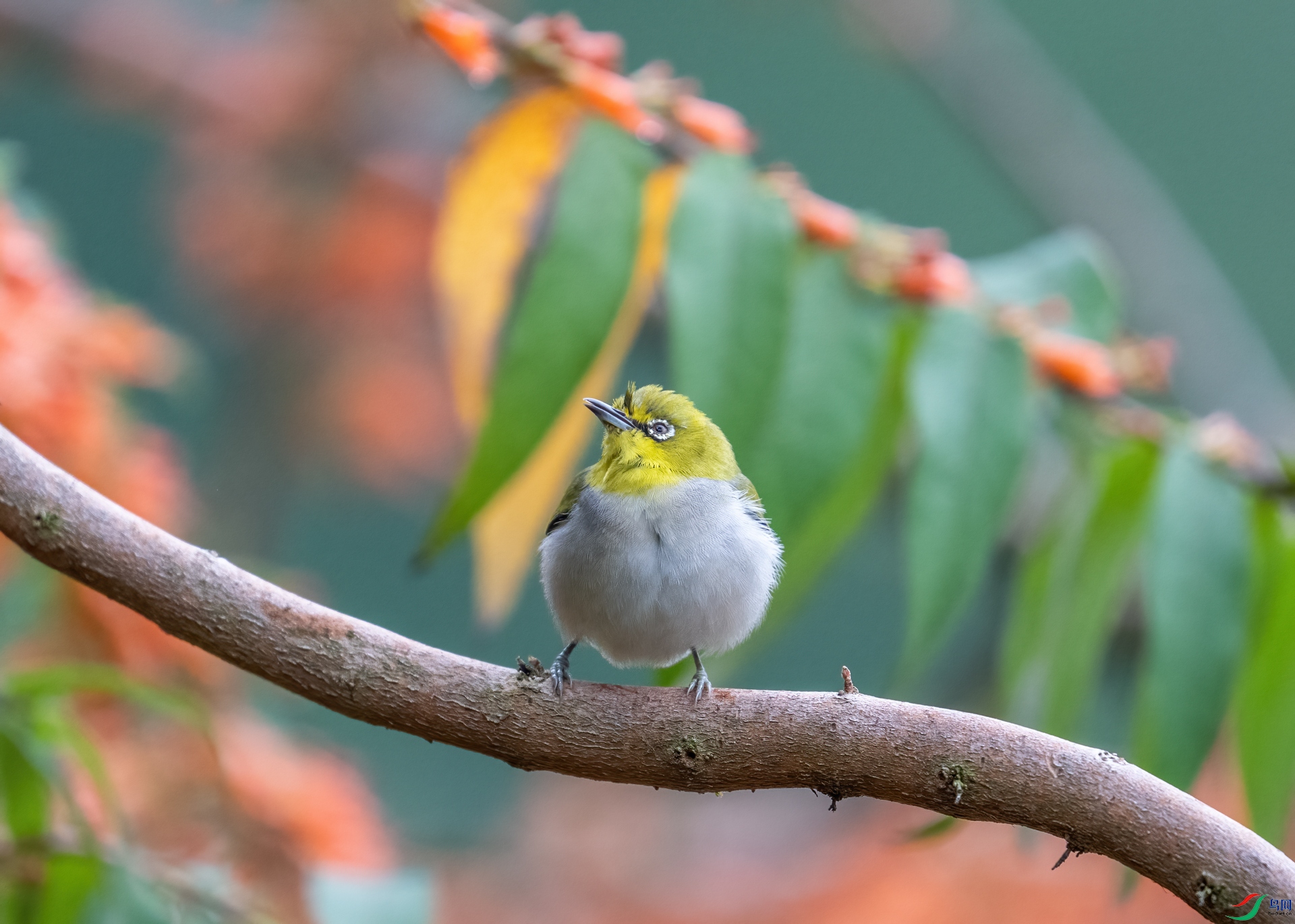 DSC_3869-1.jpg