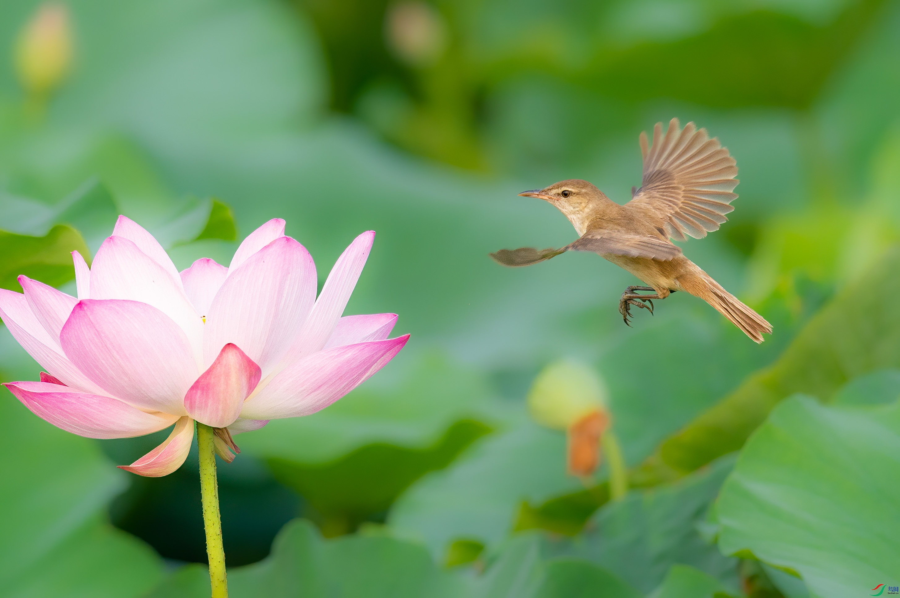 sen2016 7-10-1-�༭-2.jpg