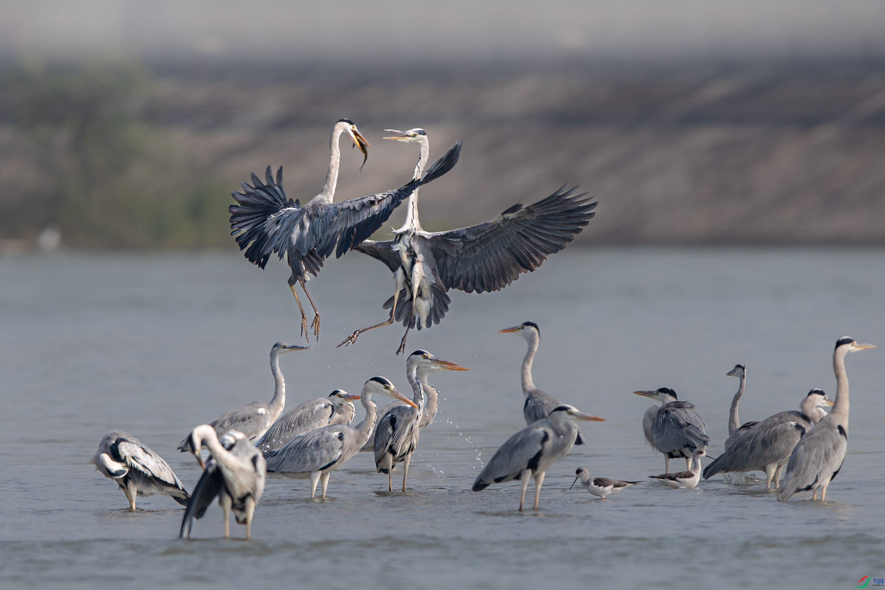 AY8I0059-����ǿ-NR ����.jpg