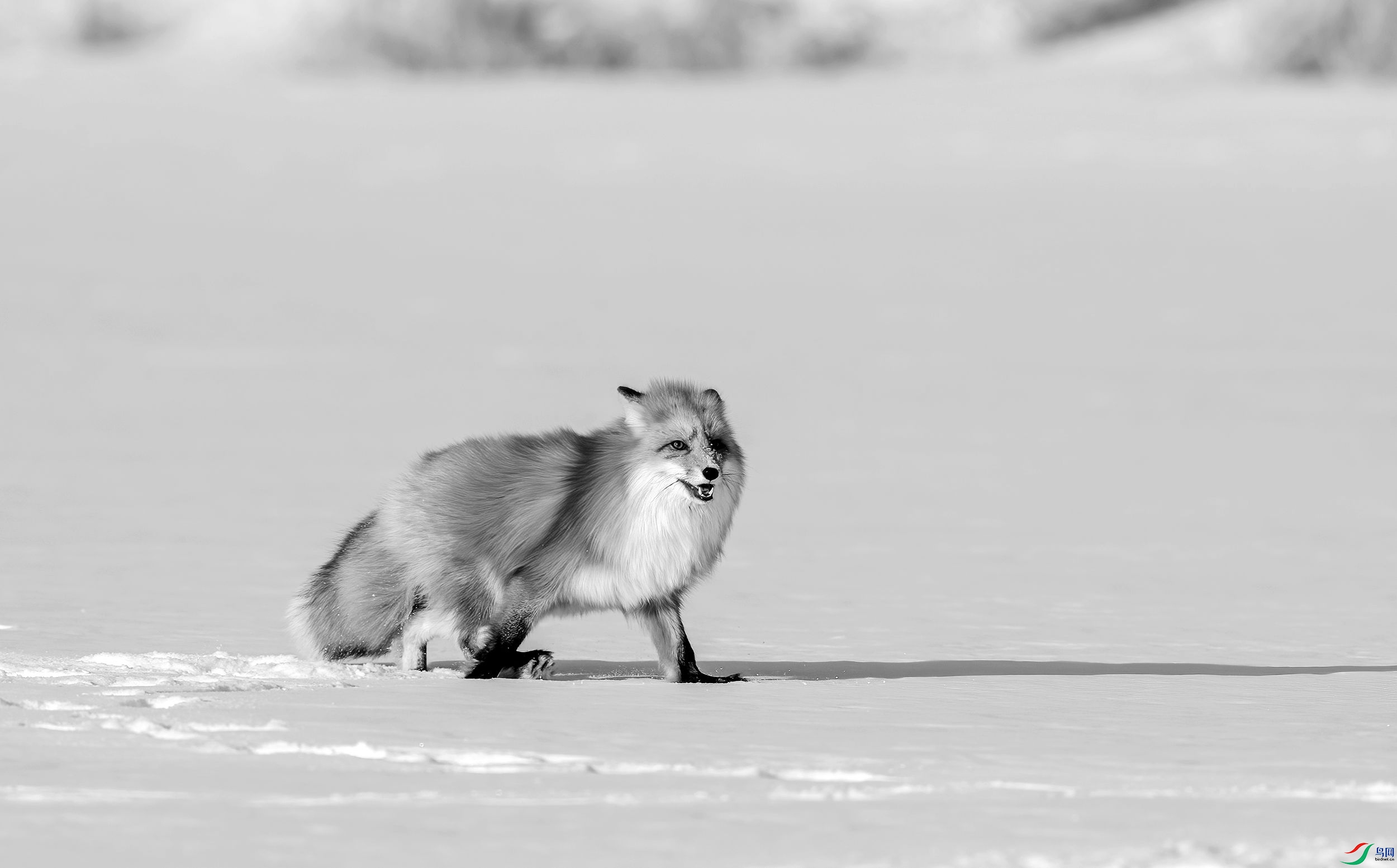 AC3I1601 ����_����.jpg