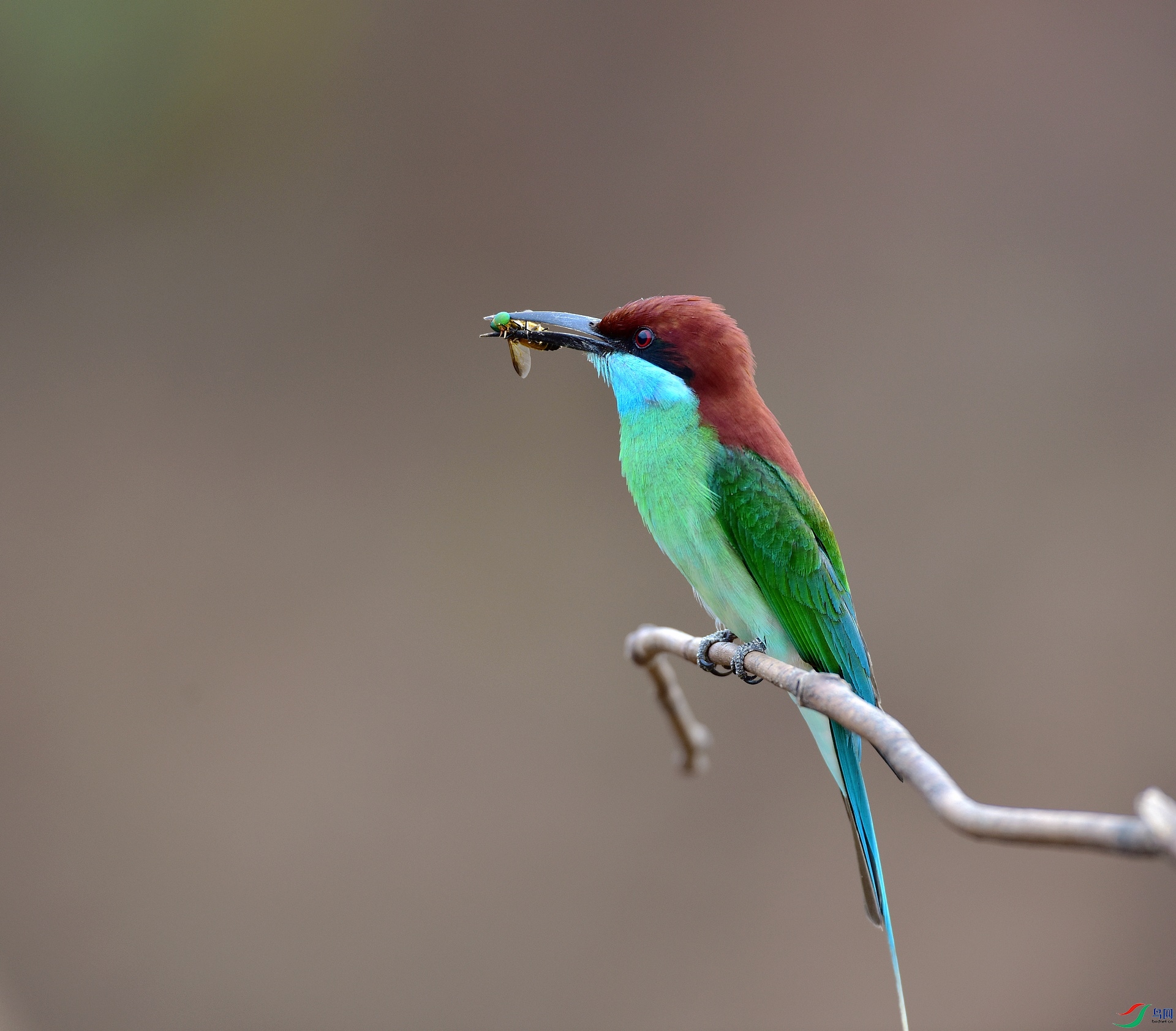 D8I_9905.jpg
