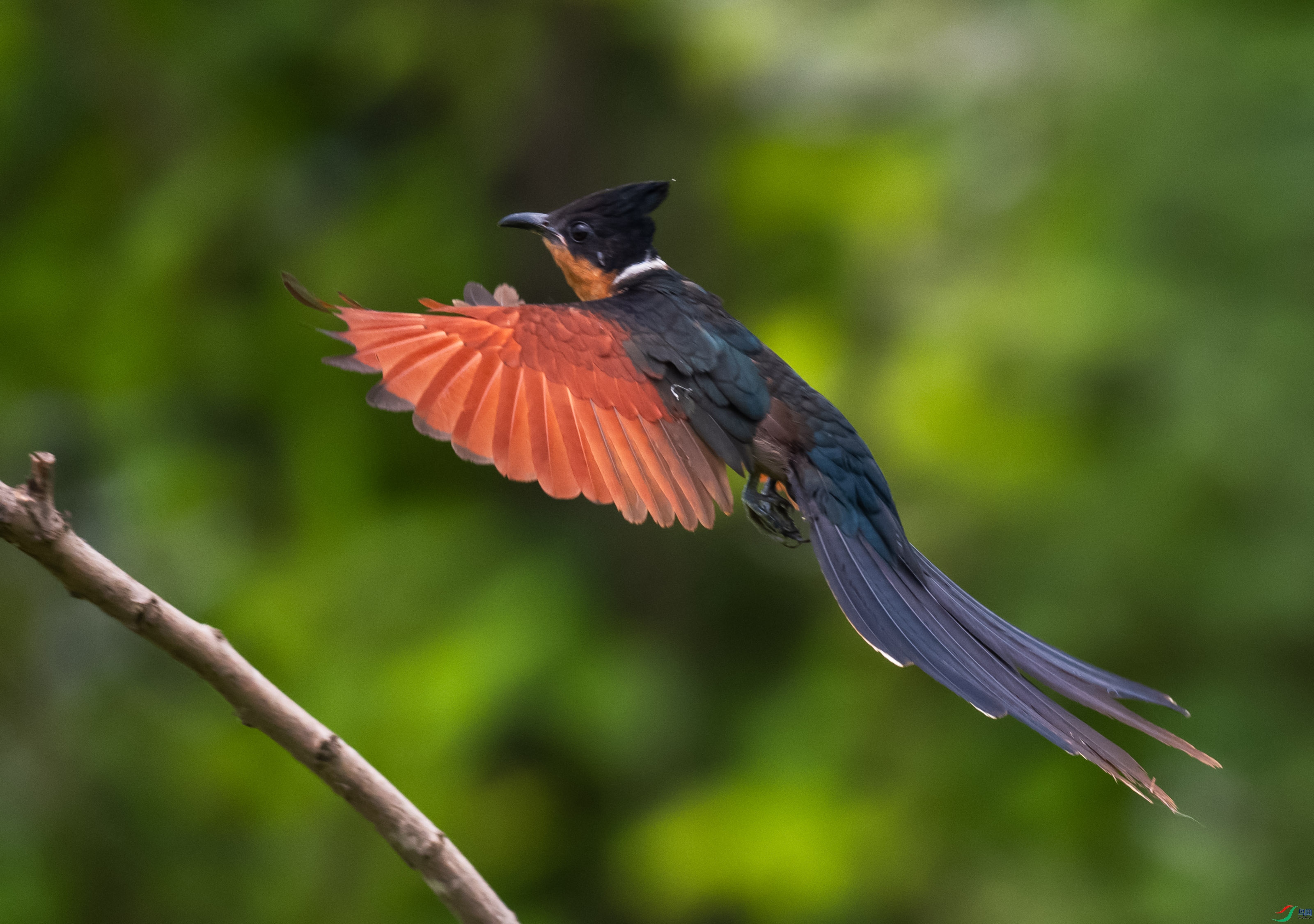 DSC_1161.jpg