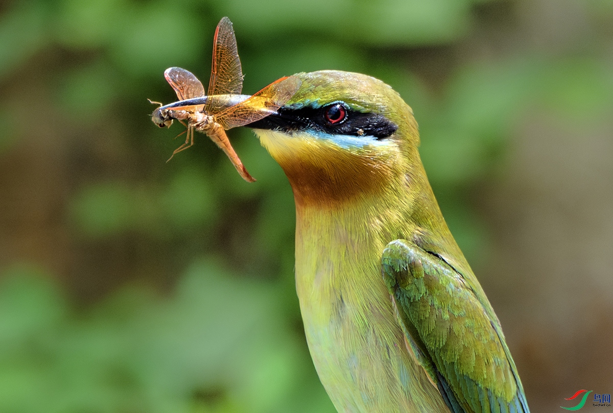 ���� (1).jpg