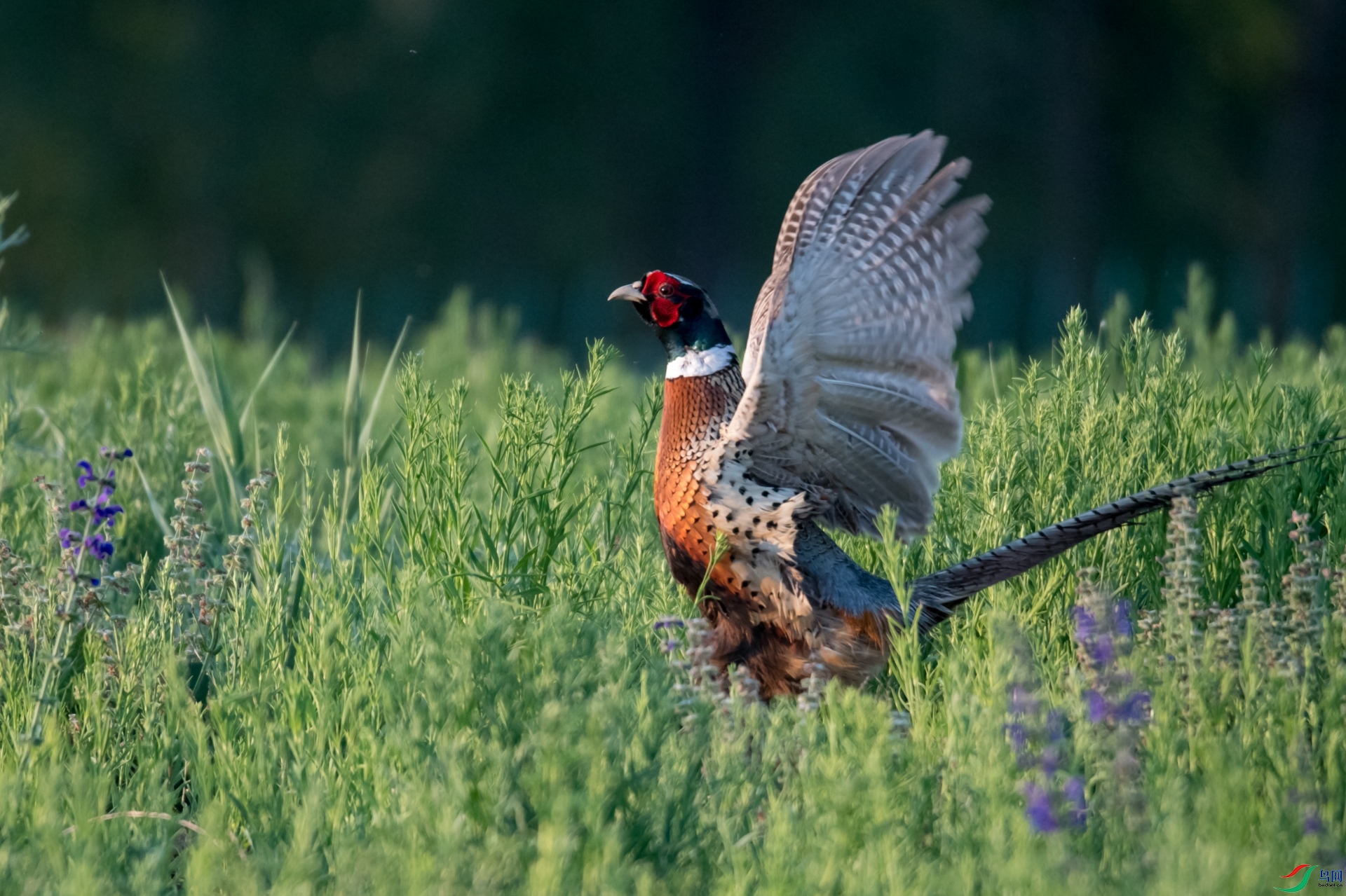 �������3