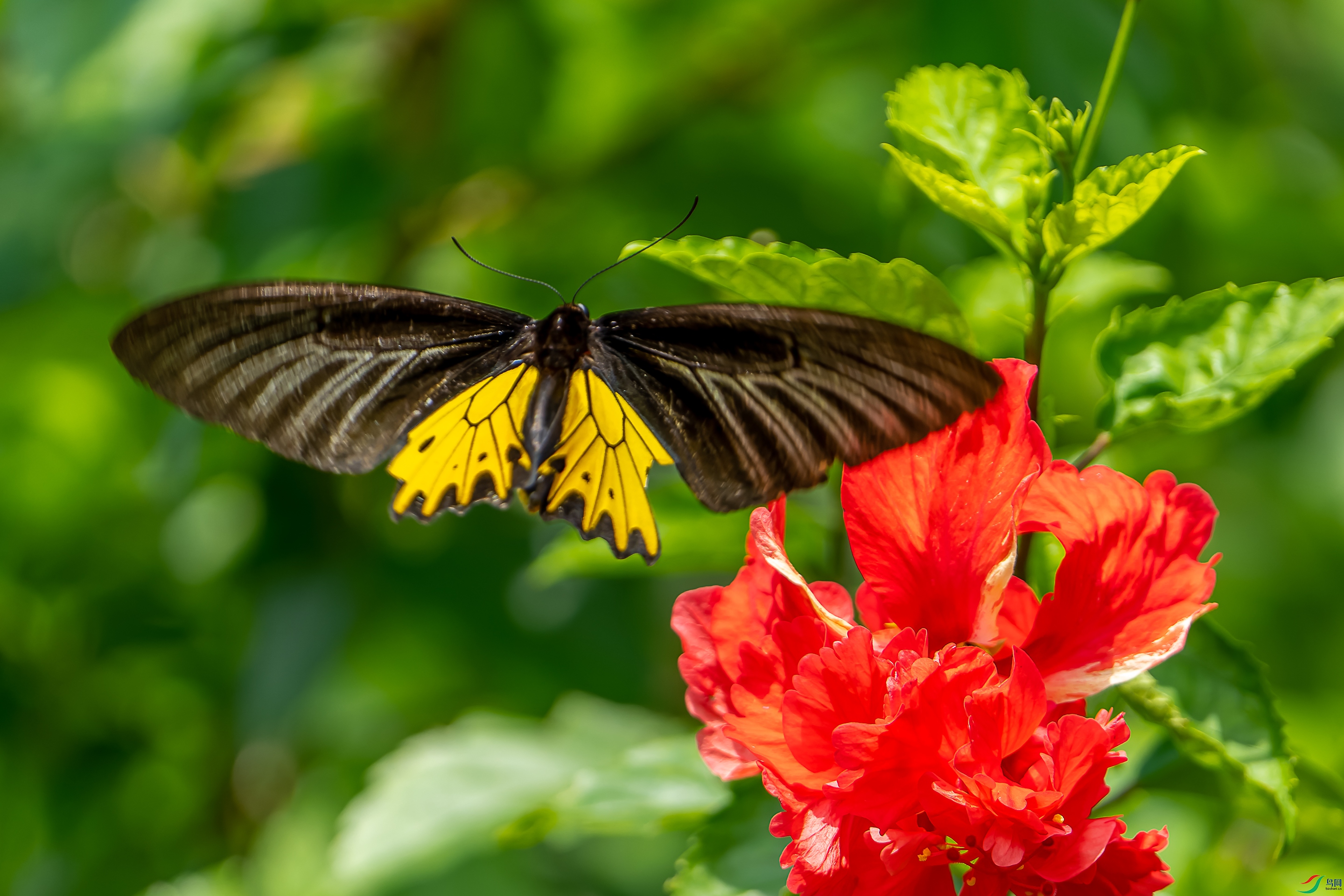 DSC09029-1.jpg