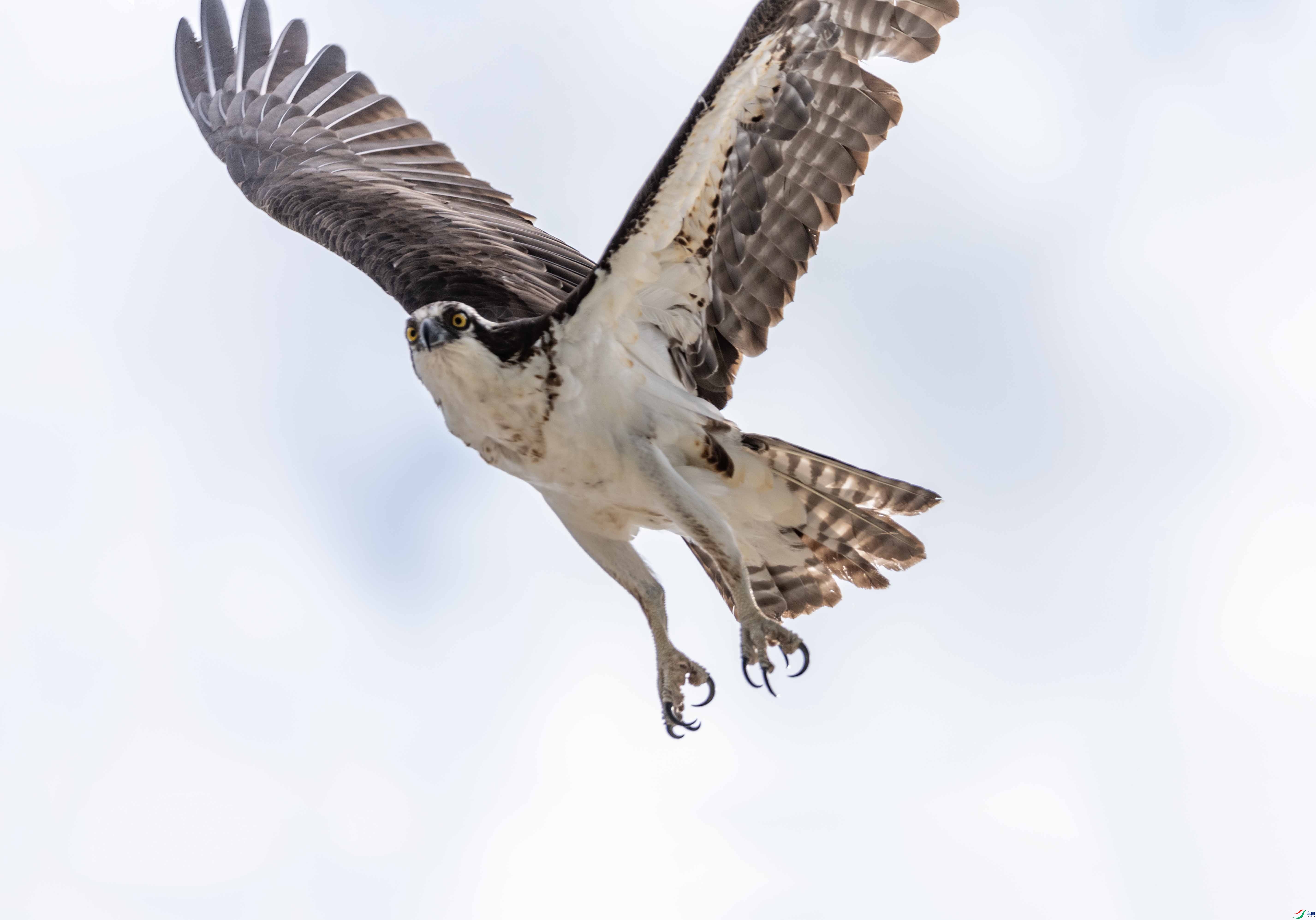 DSC_7313 ��2��.jpg