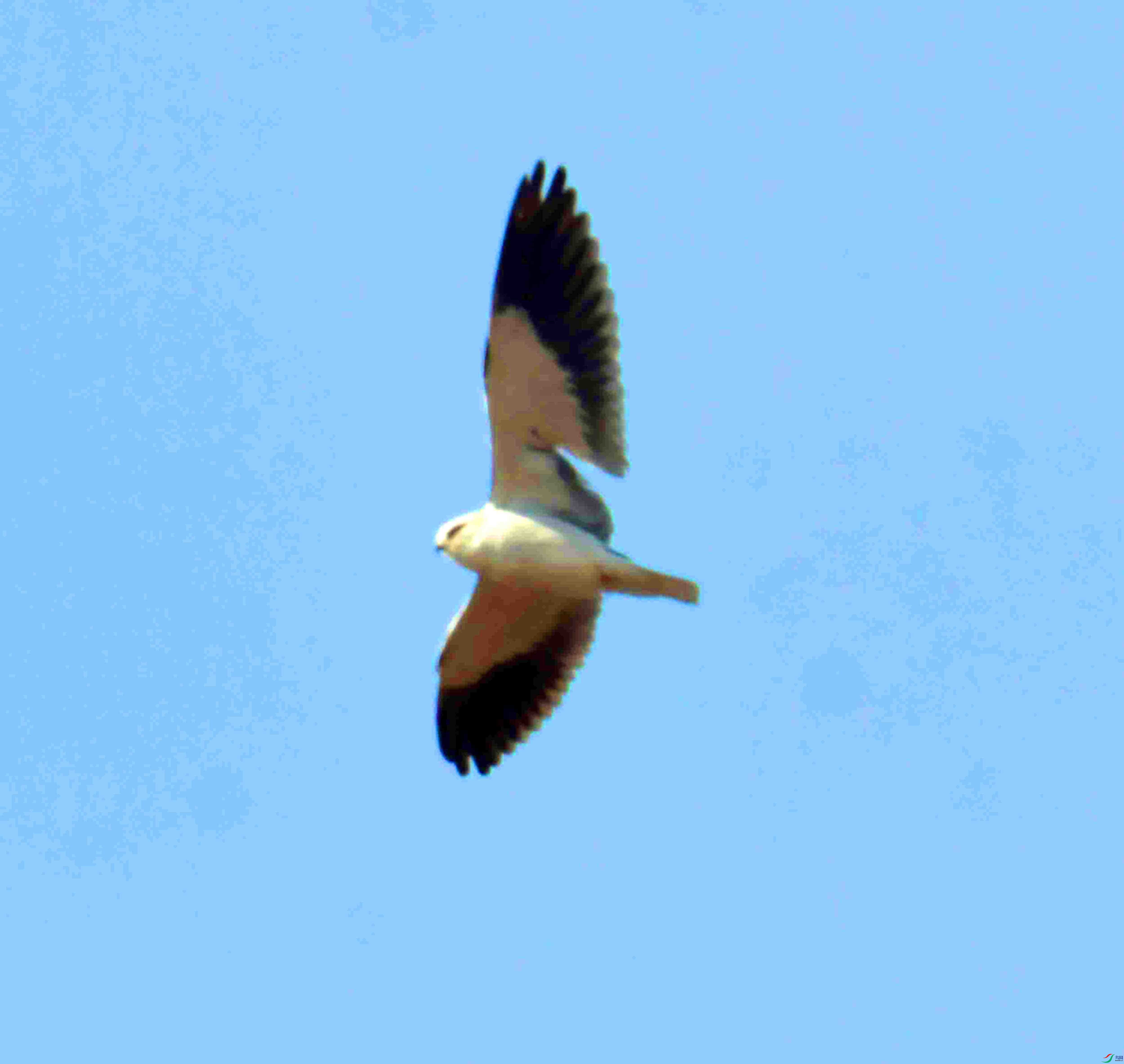 DSC_2944.JPG