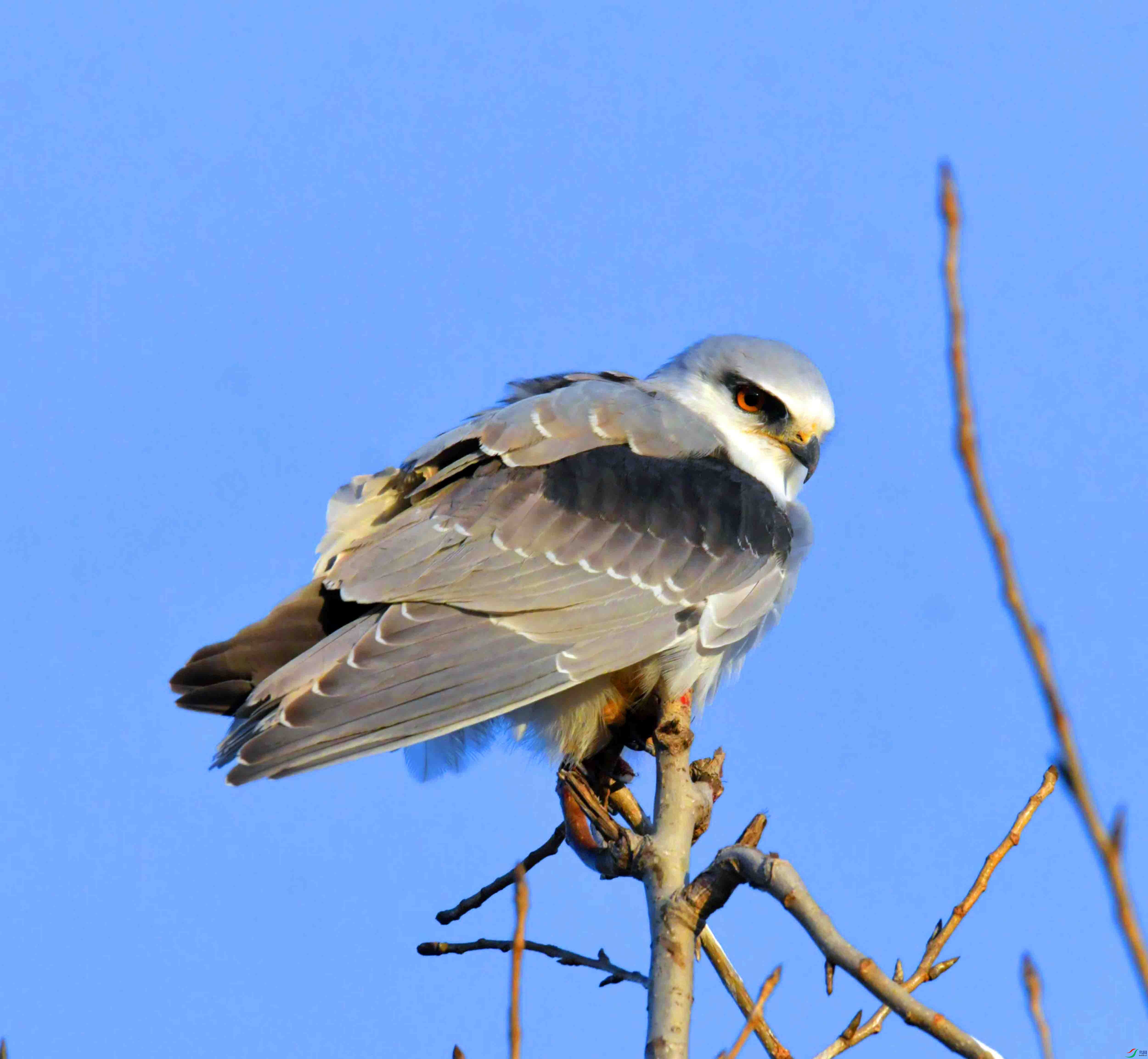 DSC_3976.JPG