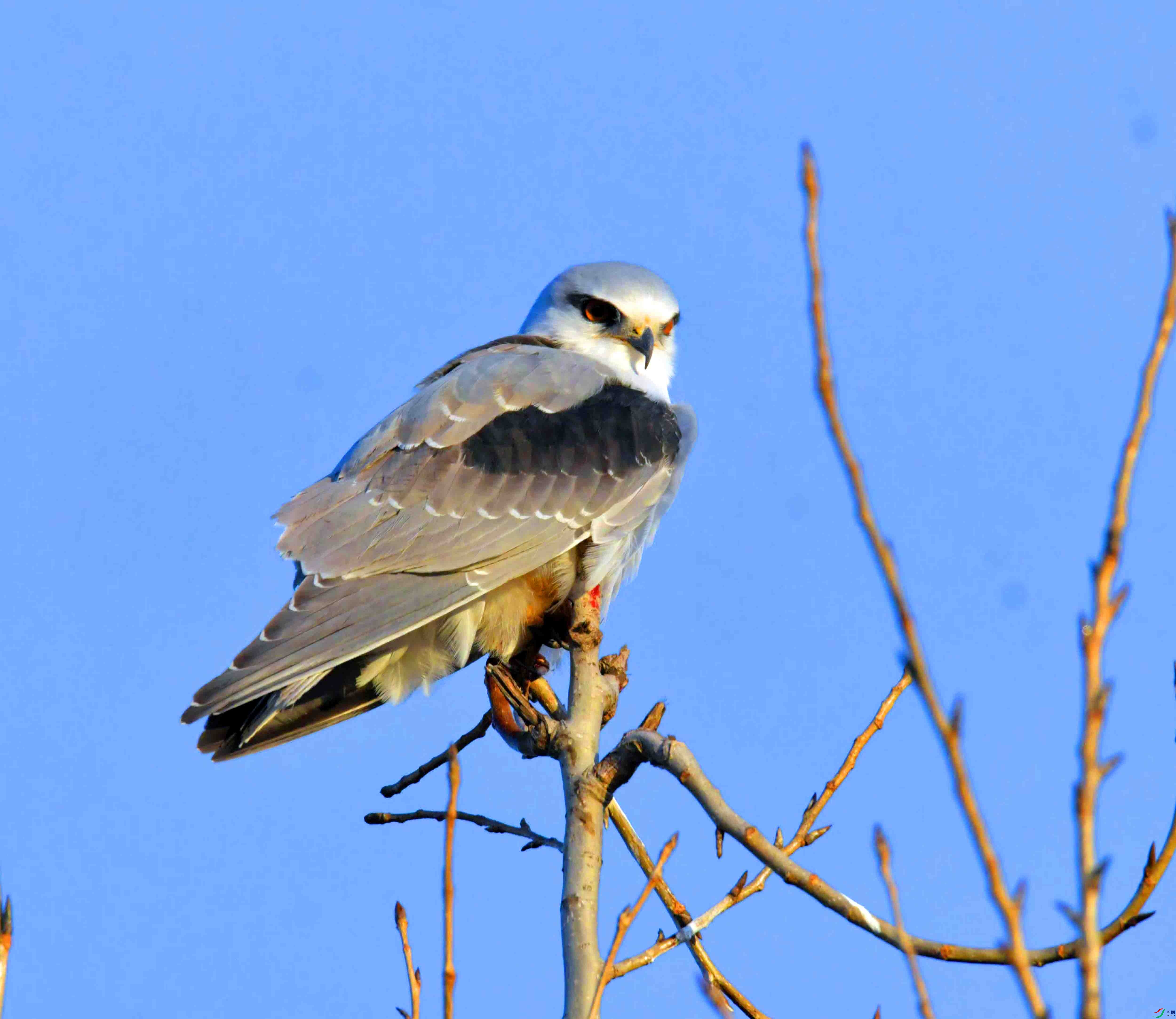 DSC_3987.JPG