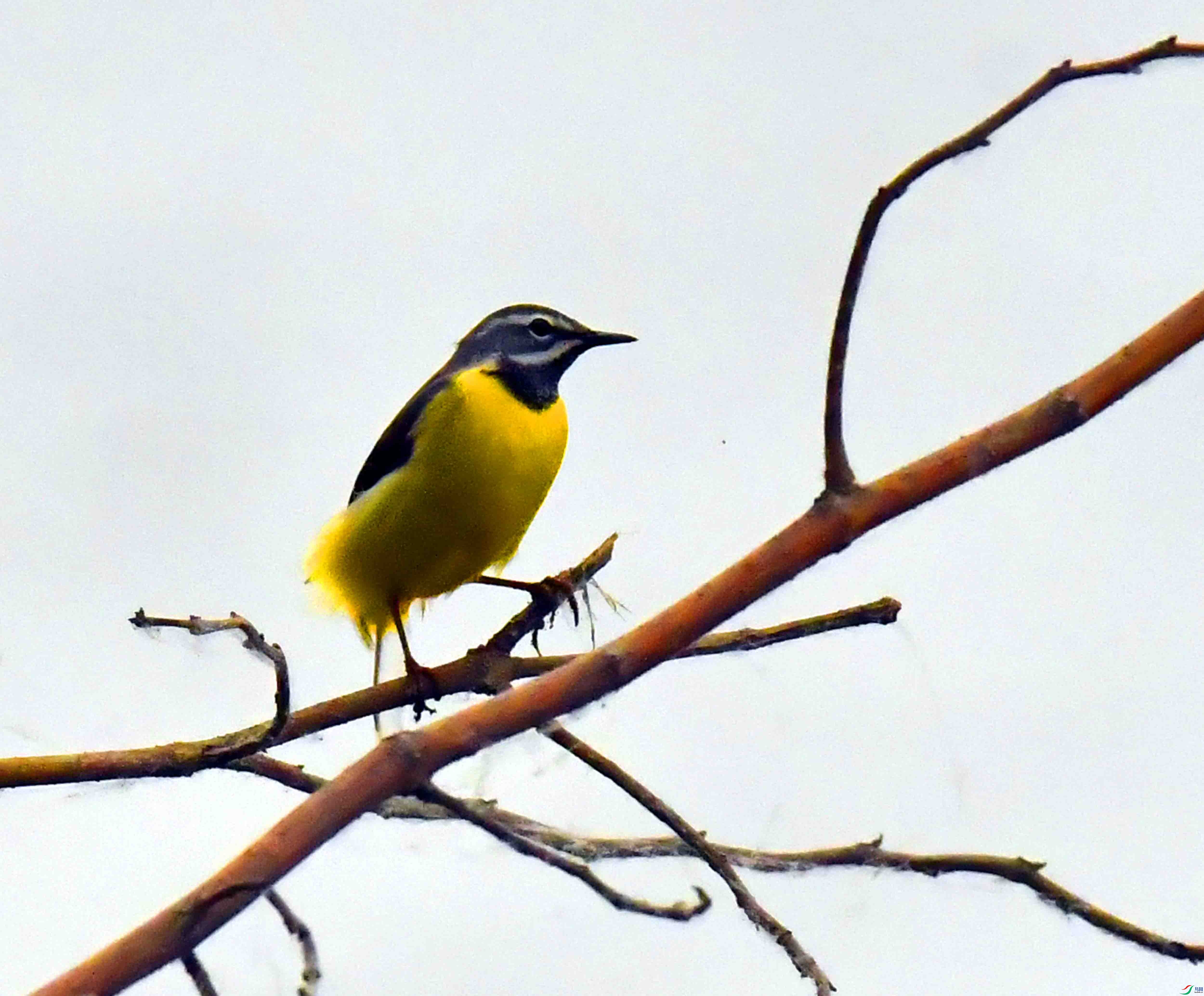 DSC_3286.JPG