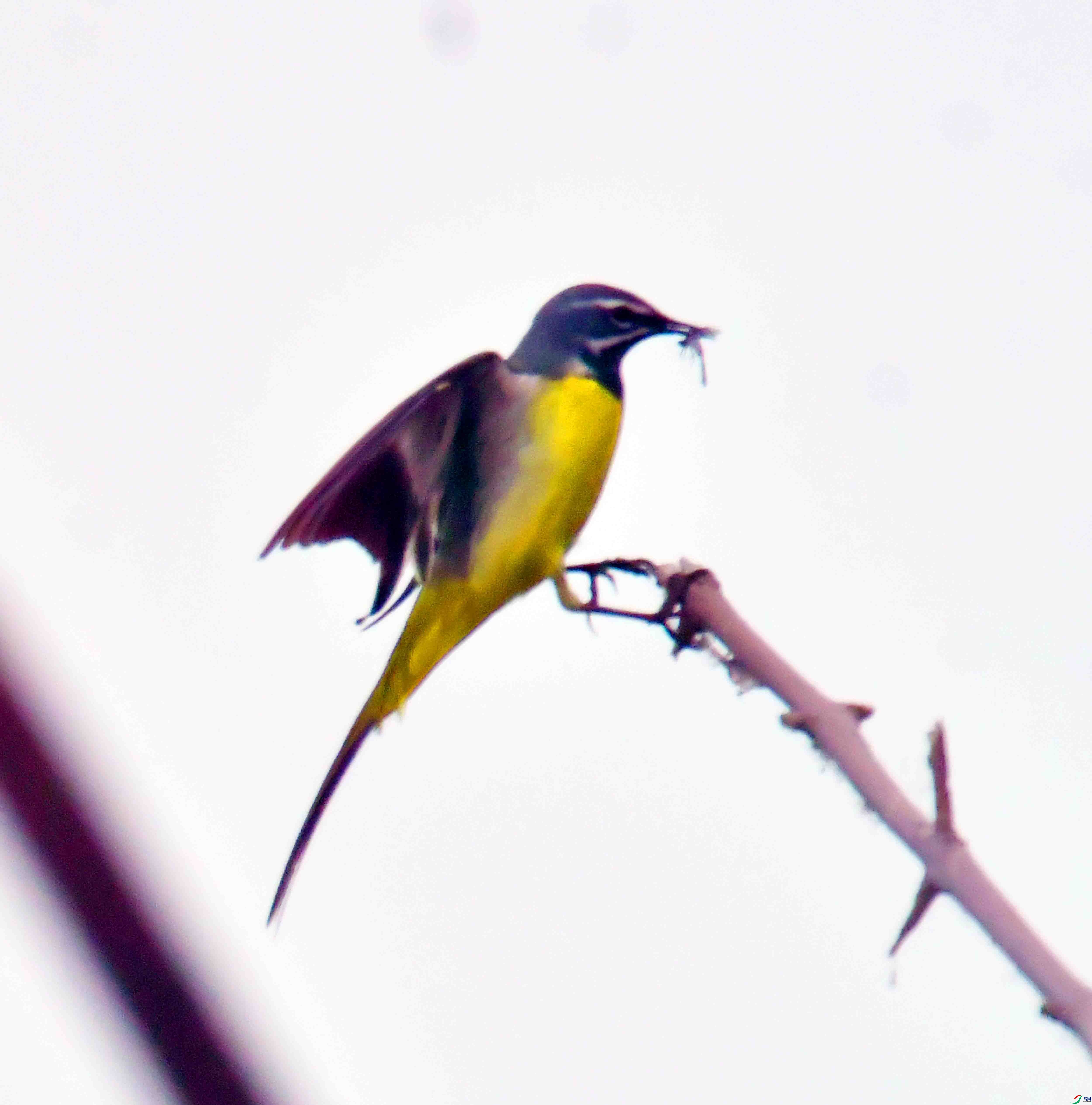 DSC_3865.JPG