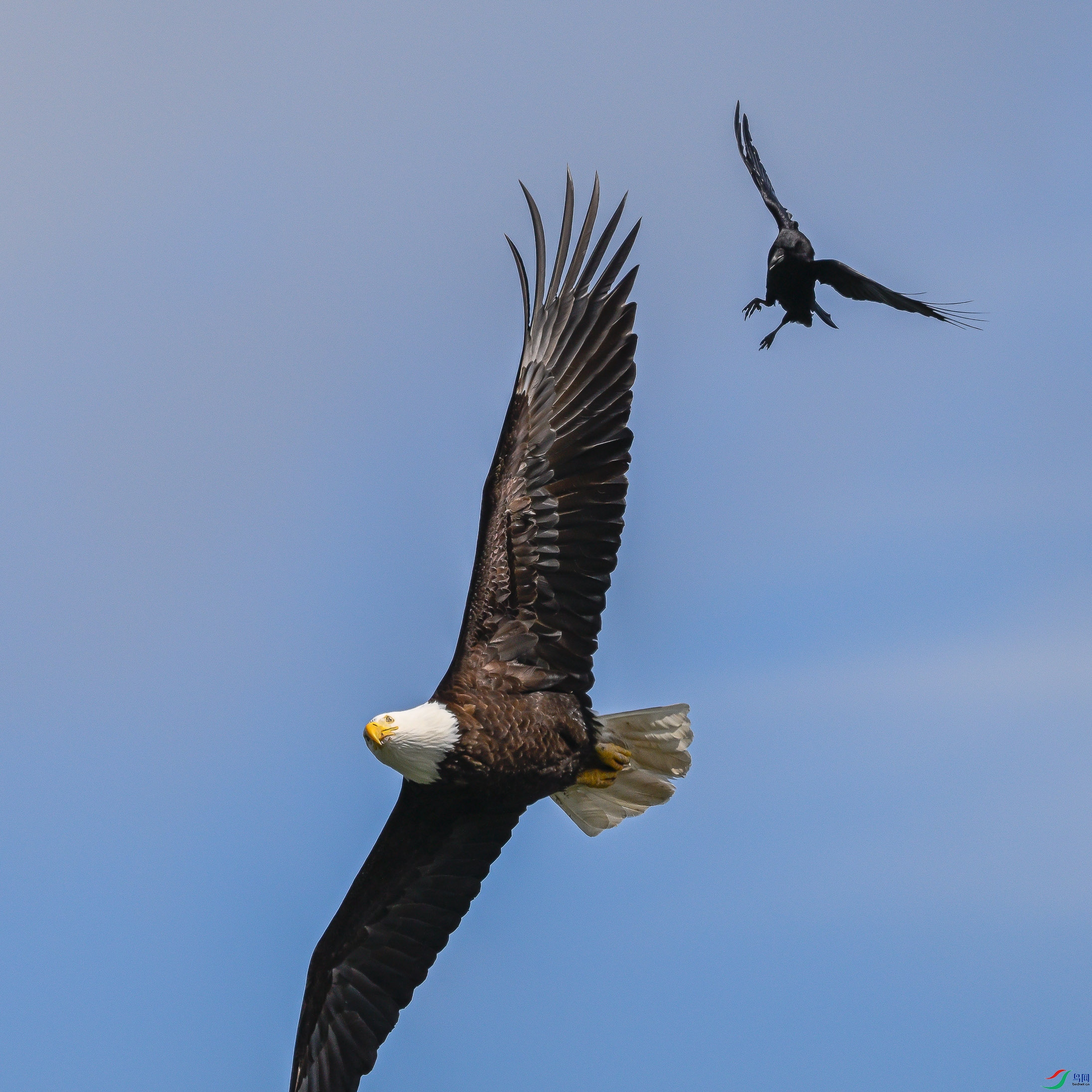 _DSC3760.JPG