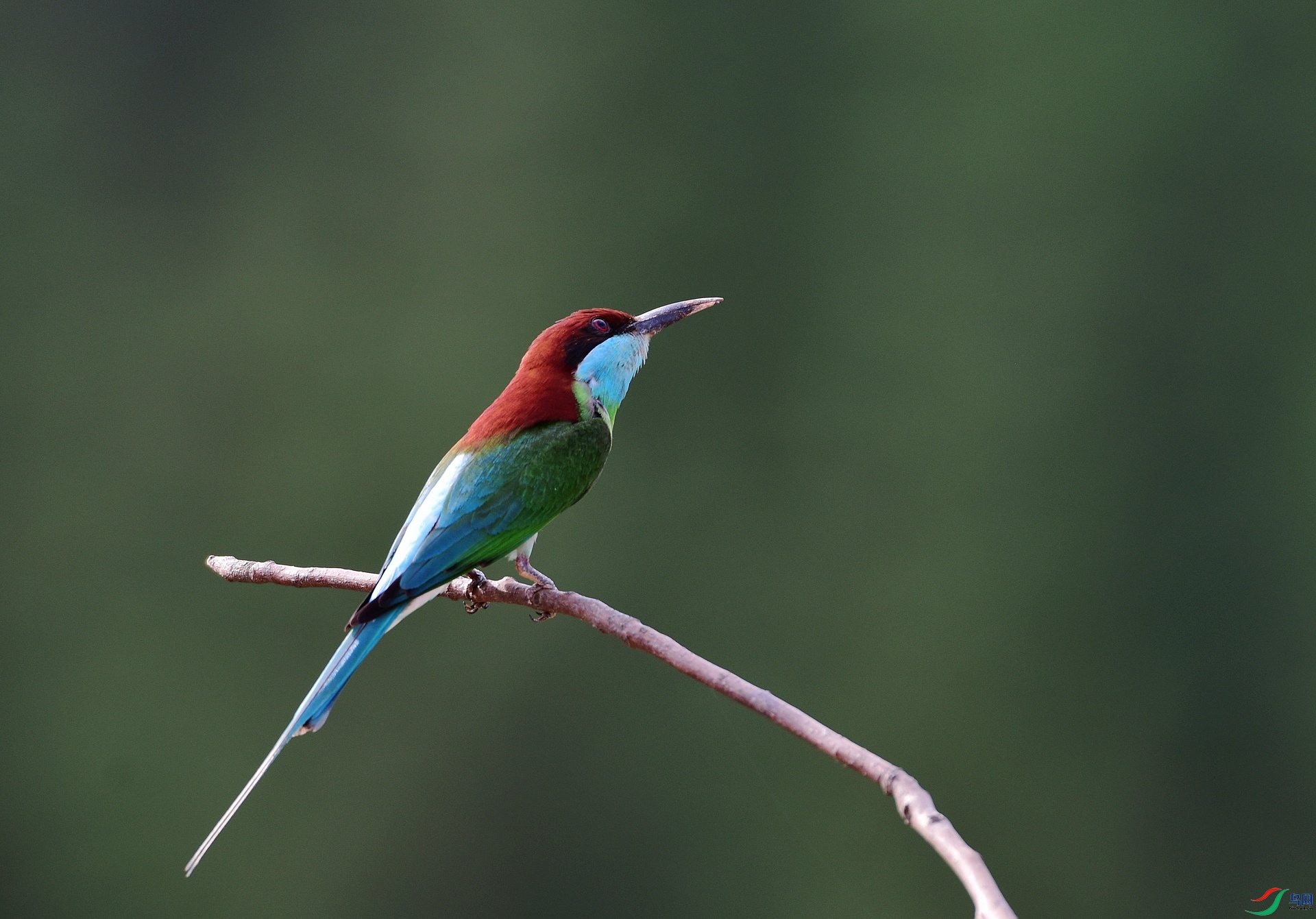 D8I_0666.jpg